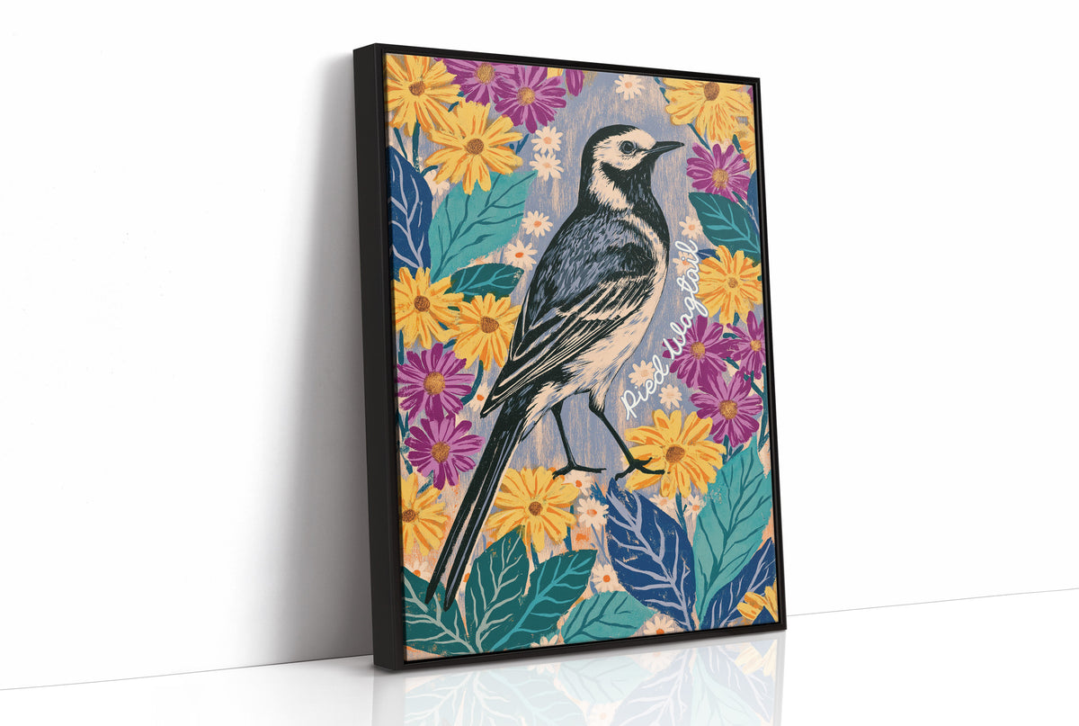 Pied Wagtail in Marigold Bloom