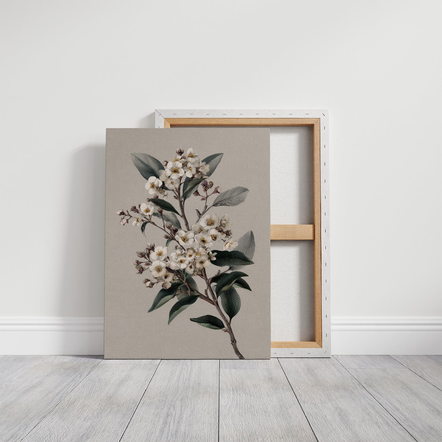 Ivory Blossoms On Quiet Branch