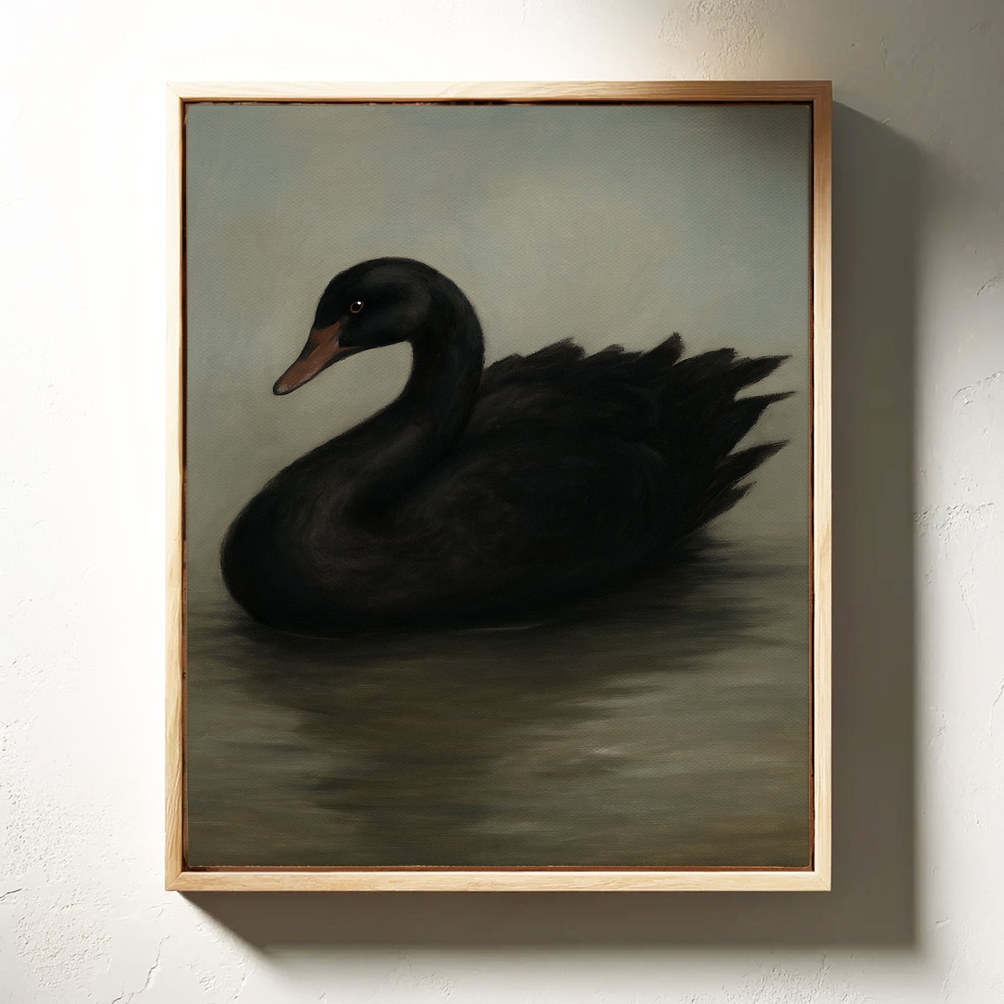 Black Swan on Still Water