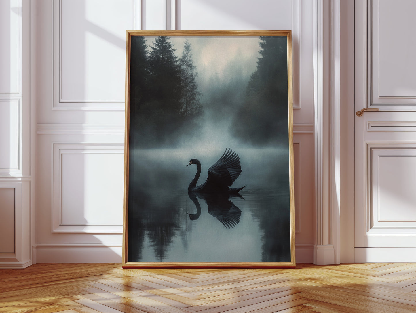 Black Swan in Morning Fog