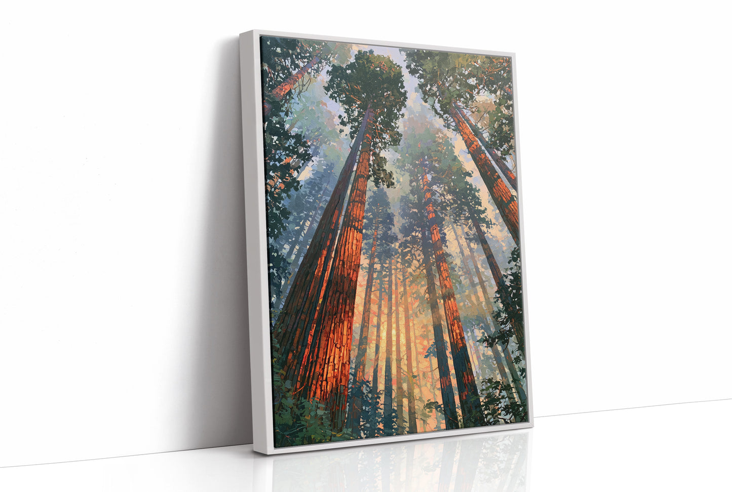 Canopy Ablaze With Light