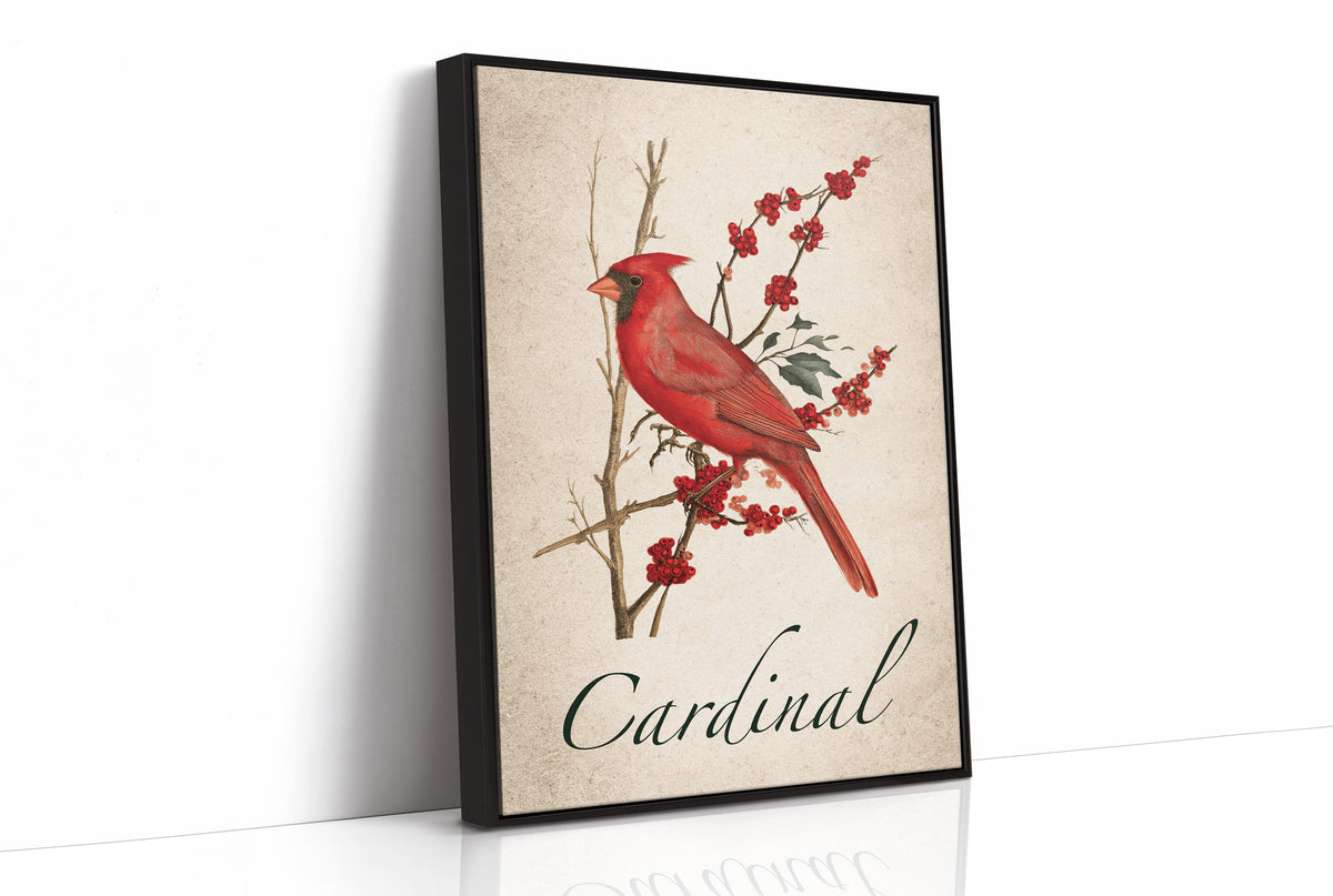 A Cardinal Rule of Winter