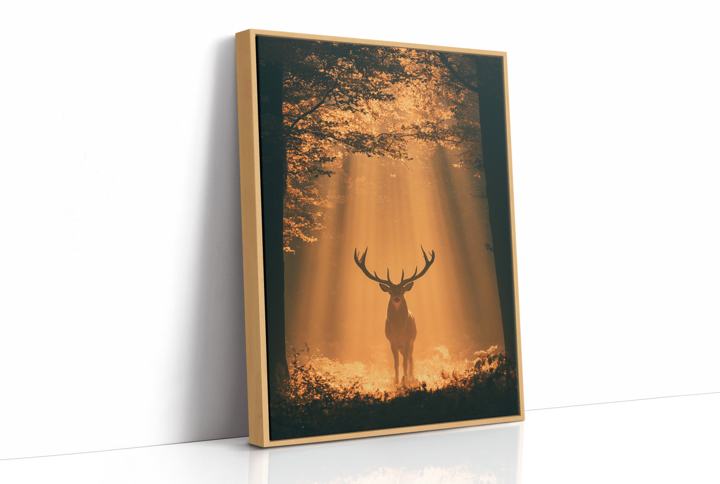 Where the Light Finds the Forest King