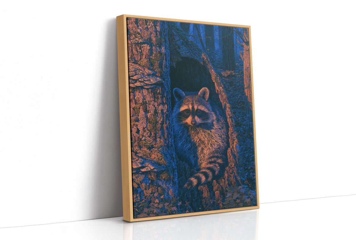 Twilight Raccoon Tree Hollow