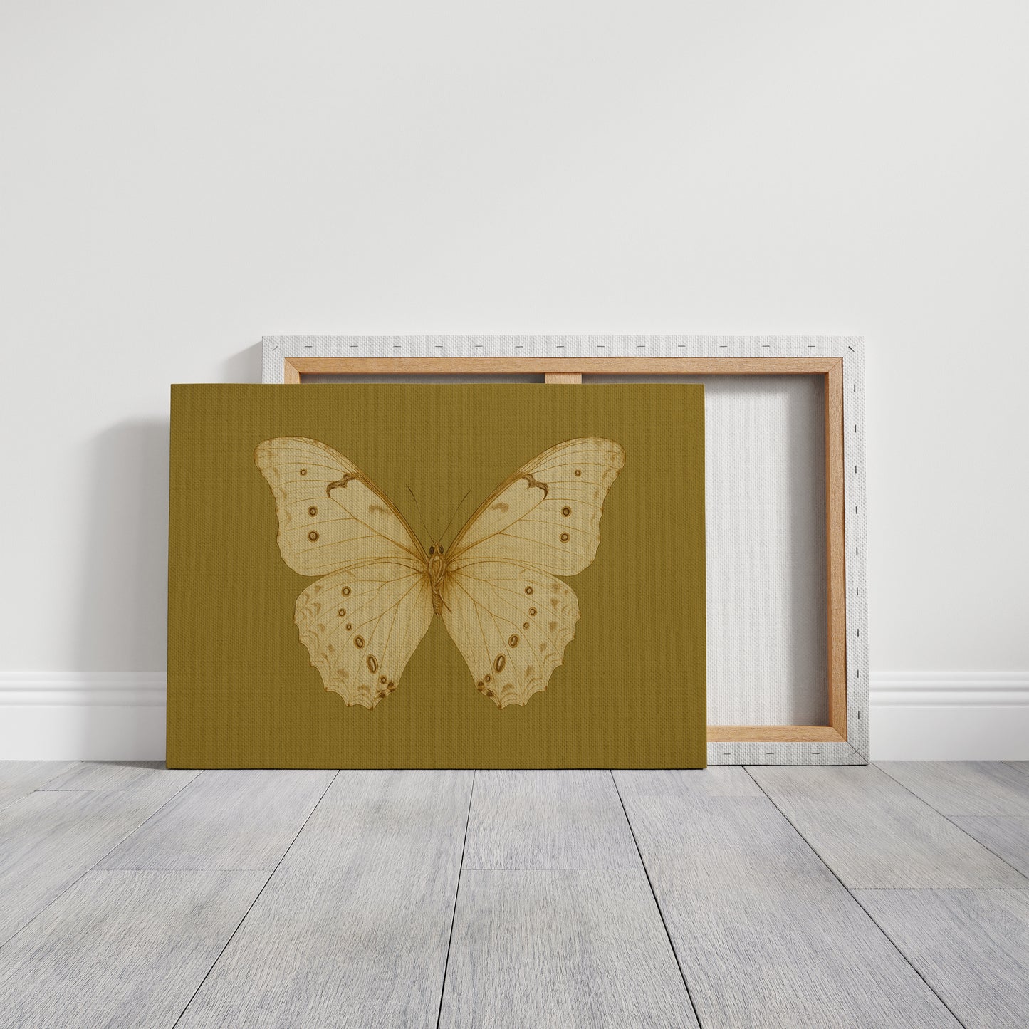 Golden Ivory Butterfly Study