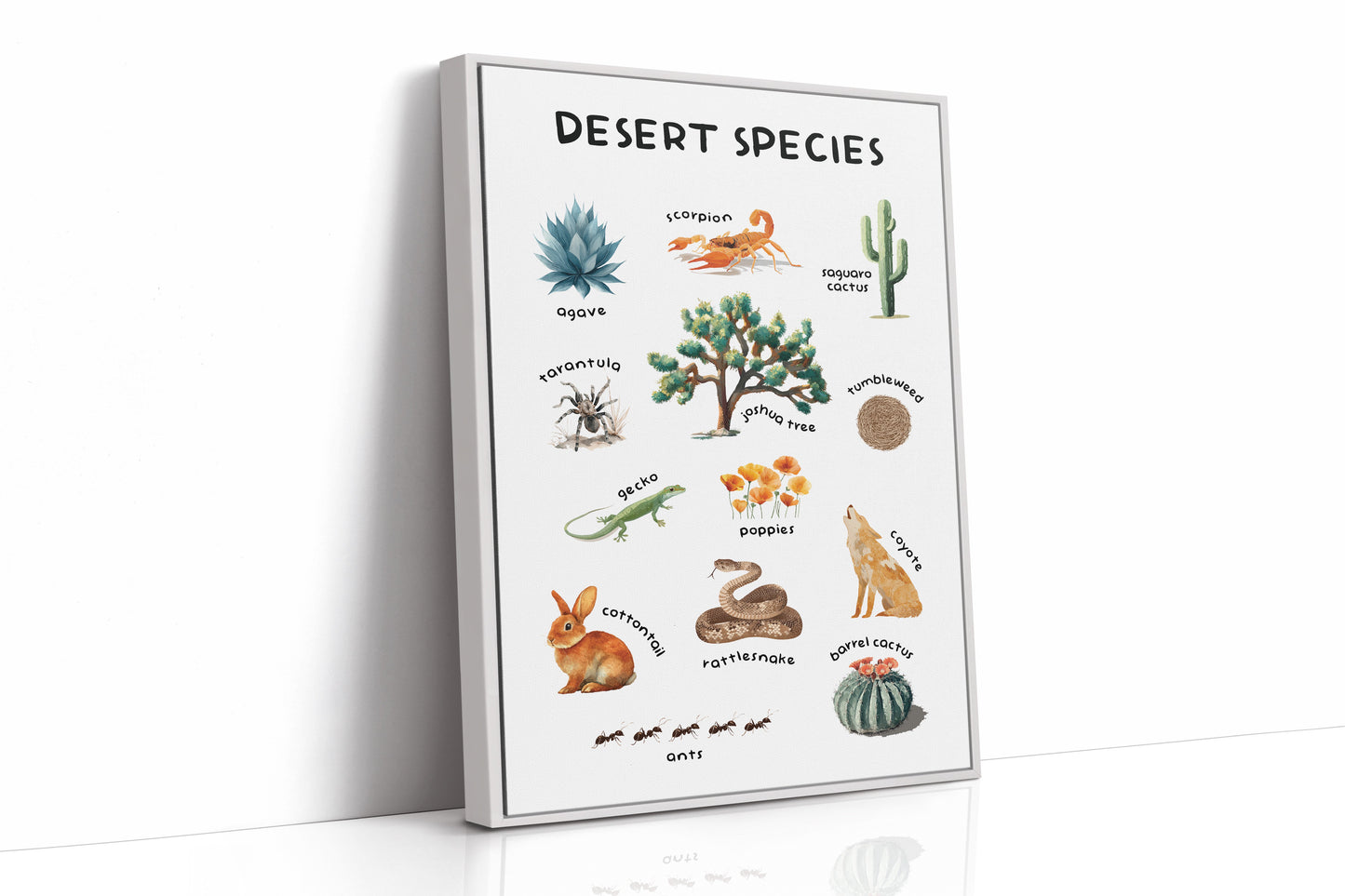 Arid Land Chronicles Illustrated