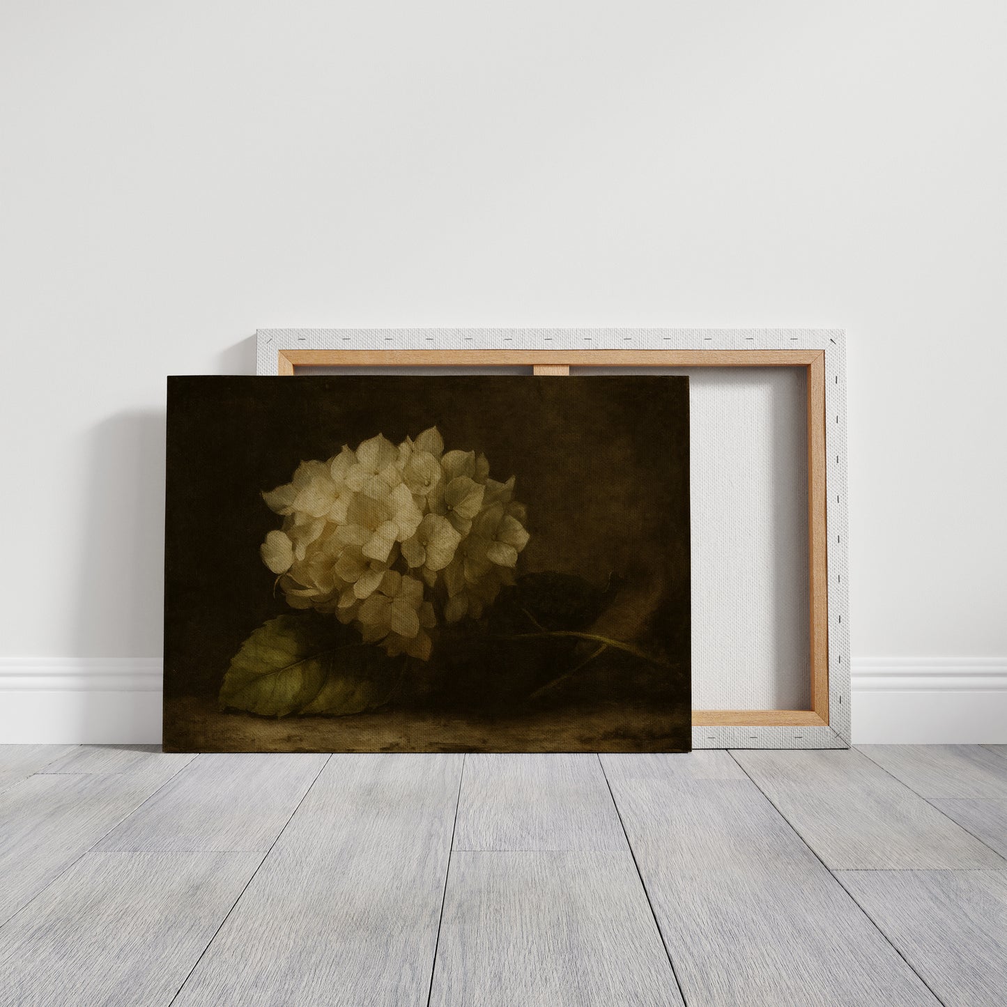 Faded Elegance Hydrangea