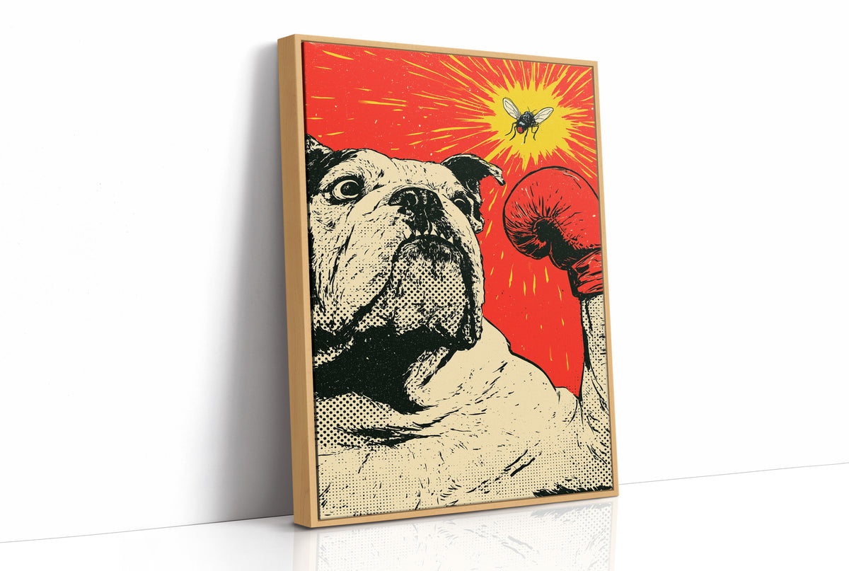 Bulldog Versus Fly Standoff