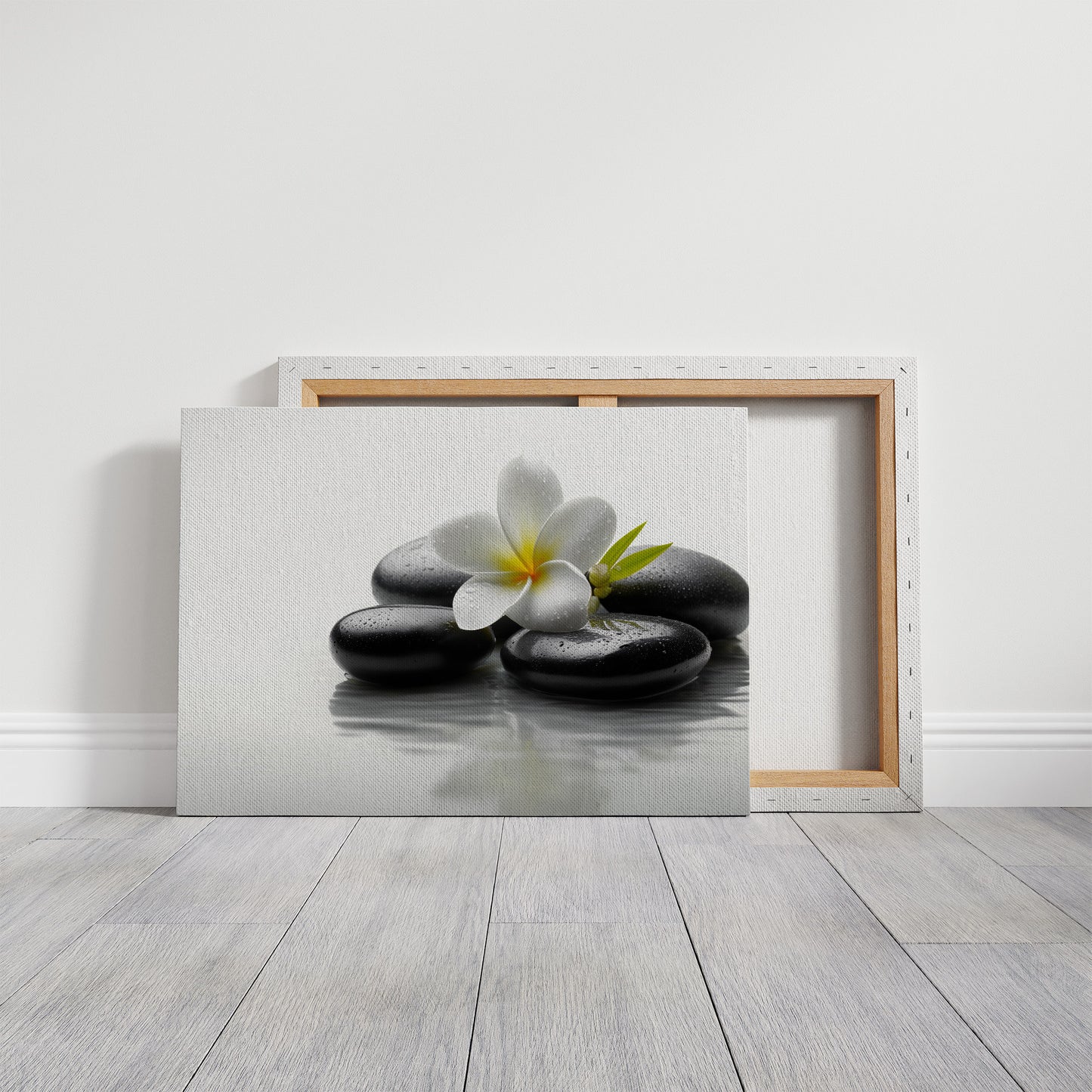 Plumeria Finds Peace On Stones