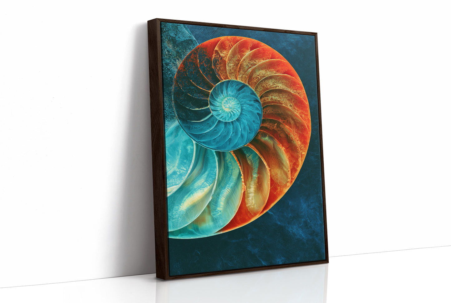 The Nautilus Divide