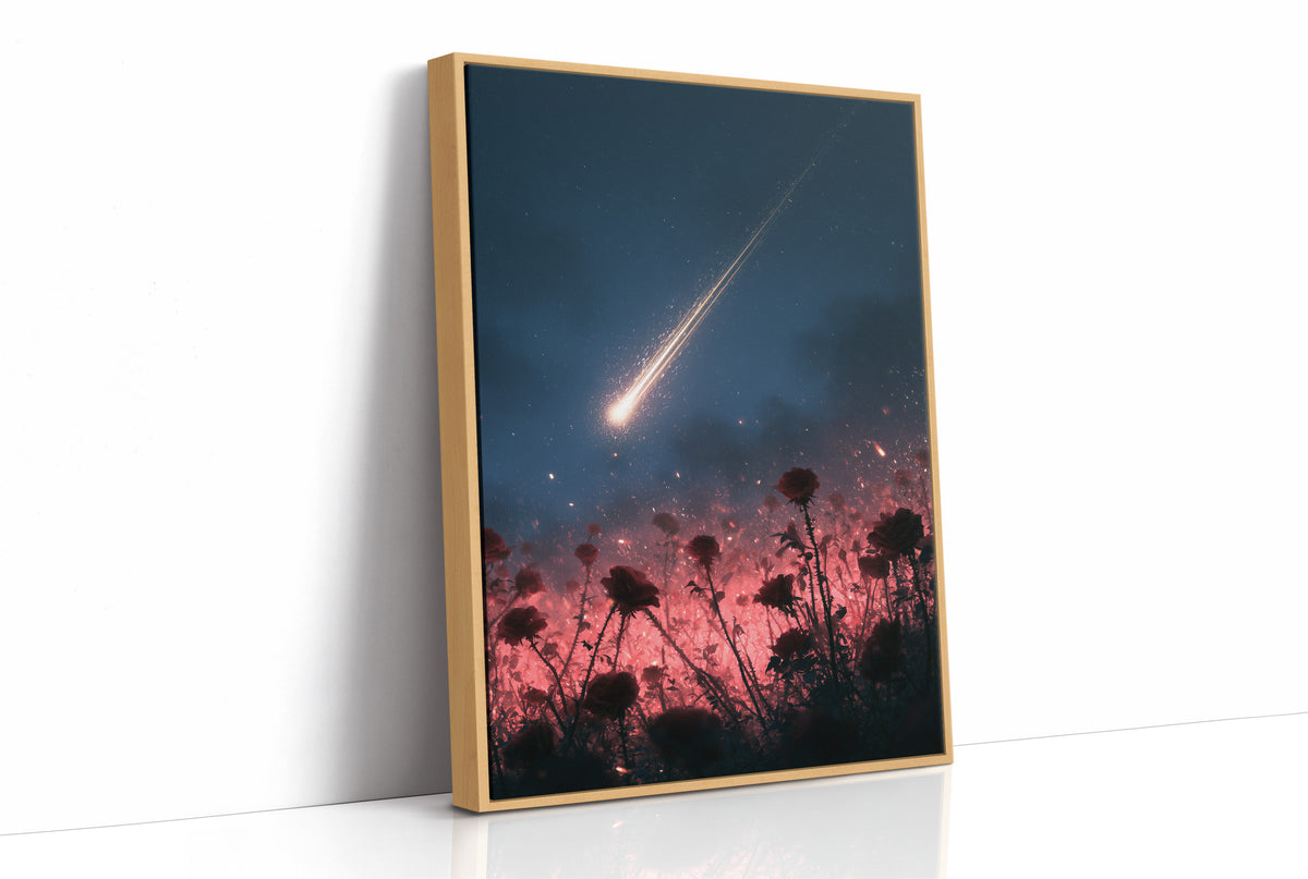 Shooting Star Over Rose Field