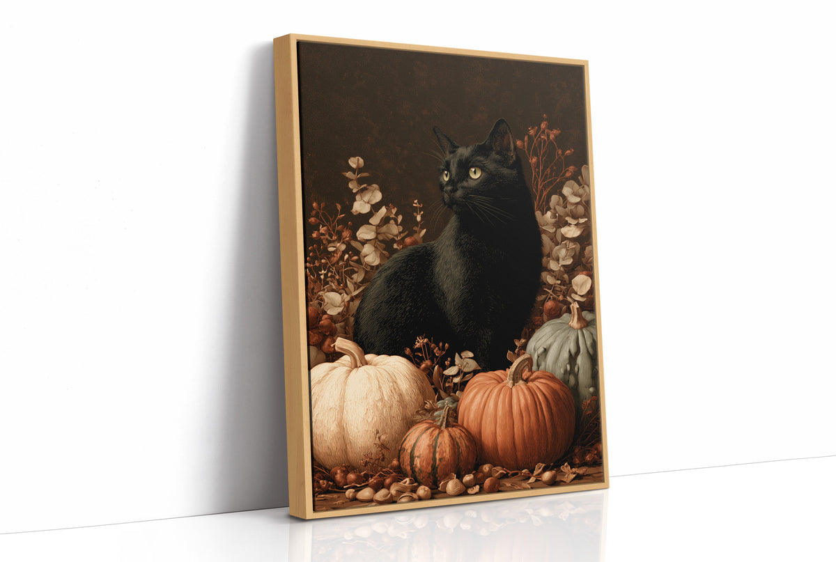 Black Cat and the Heirloom Pumpkins