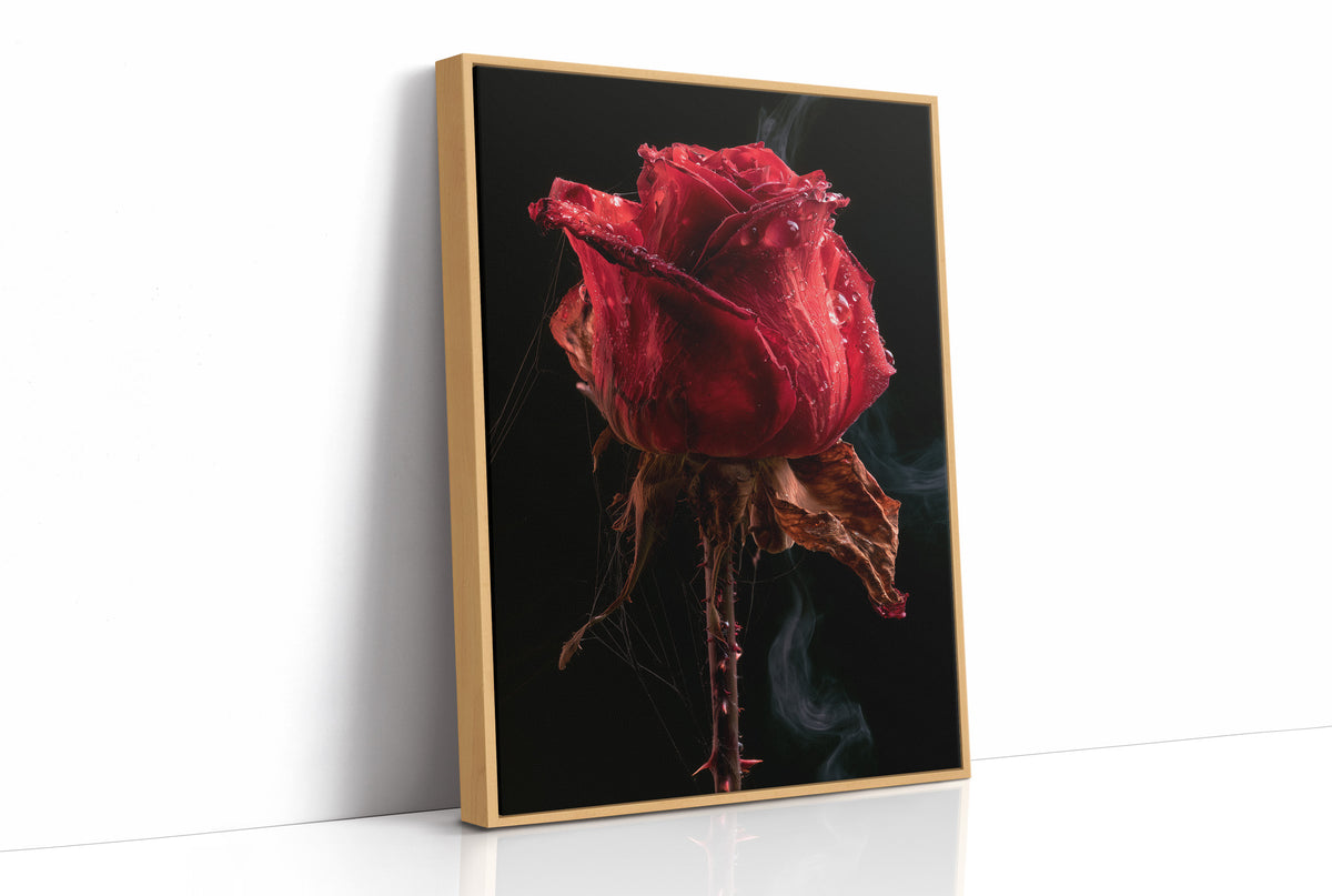 Beautiful Decay, One Red Rose