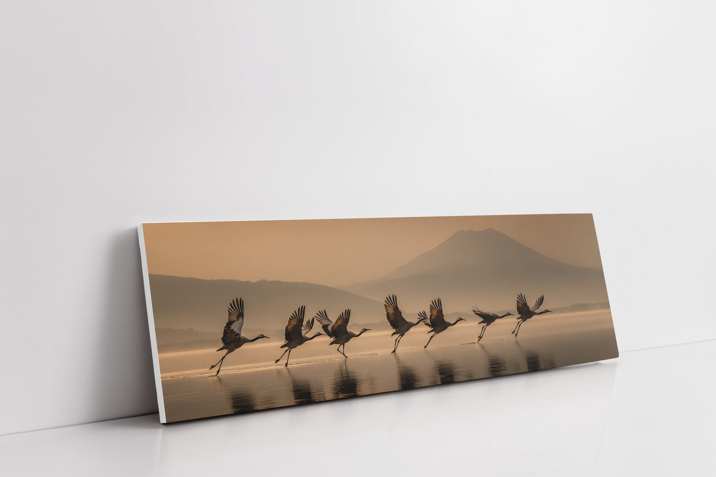 Cranes Rising Across Quiet Waters