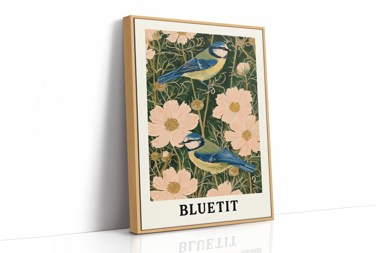 Blue Tits Among Cosmos Blooms