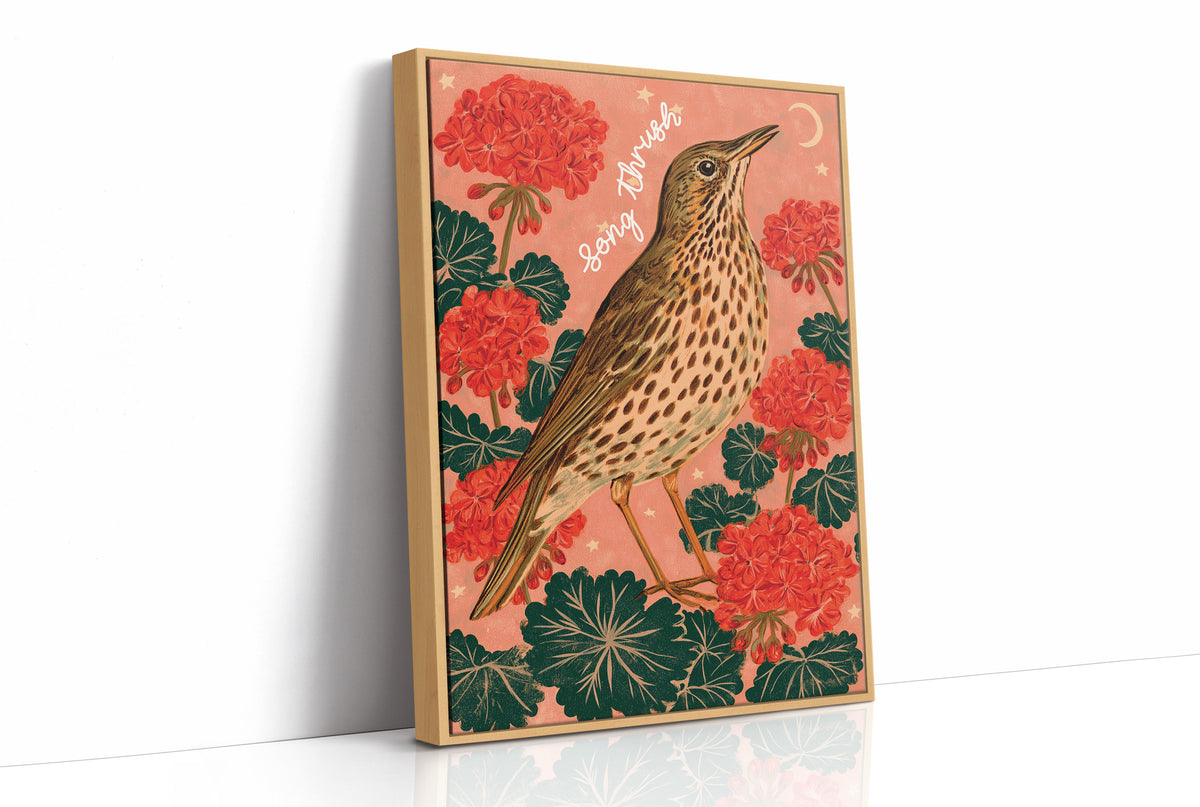 Song Thrush Under a Crescent Moon
