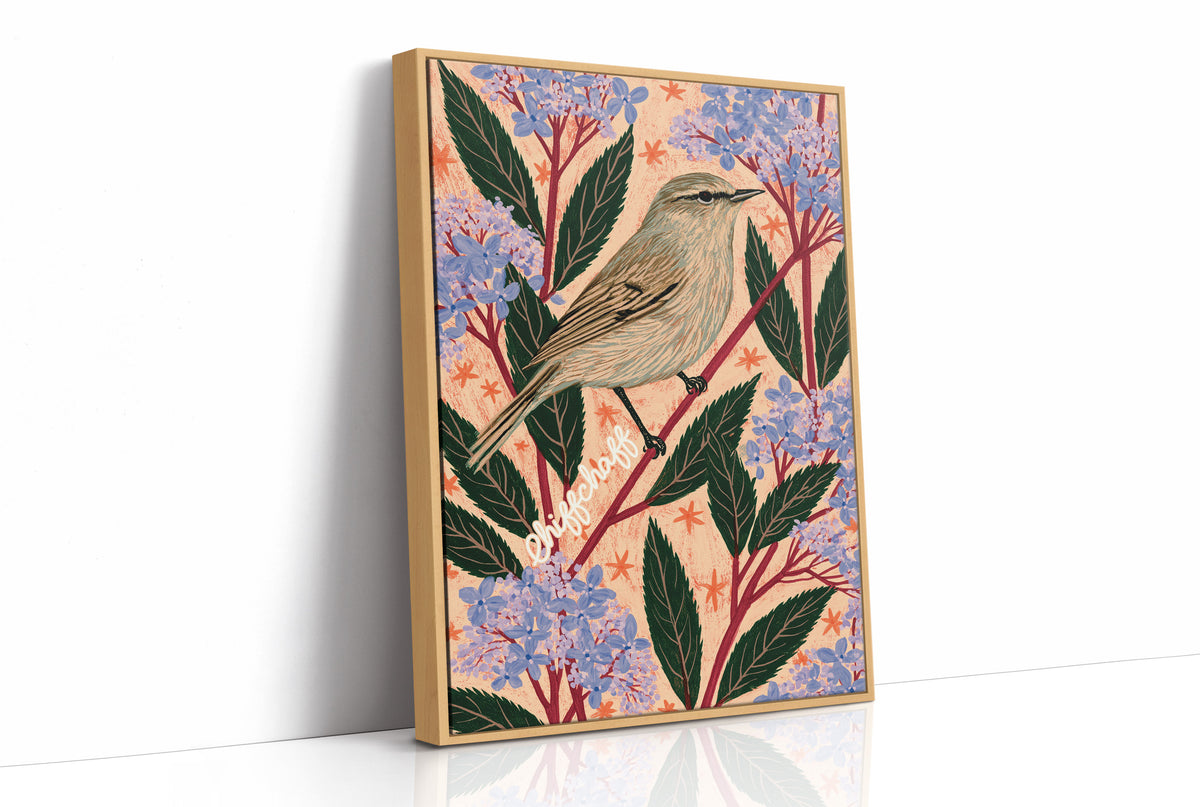 Chiffchaff on a Pink Sprig