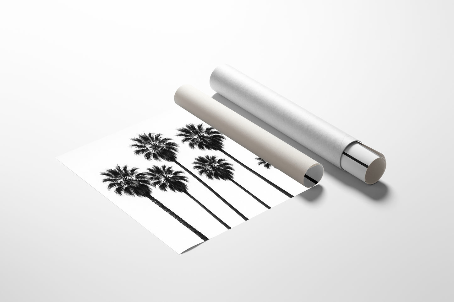 Seven Palms in Perfect Rhythm