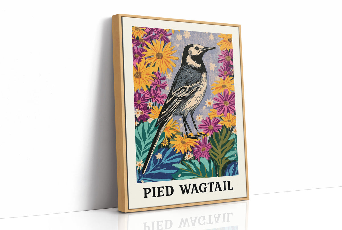 Pied Wagtail in Wildflower Garden