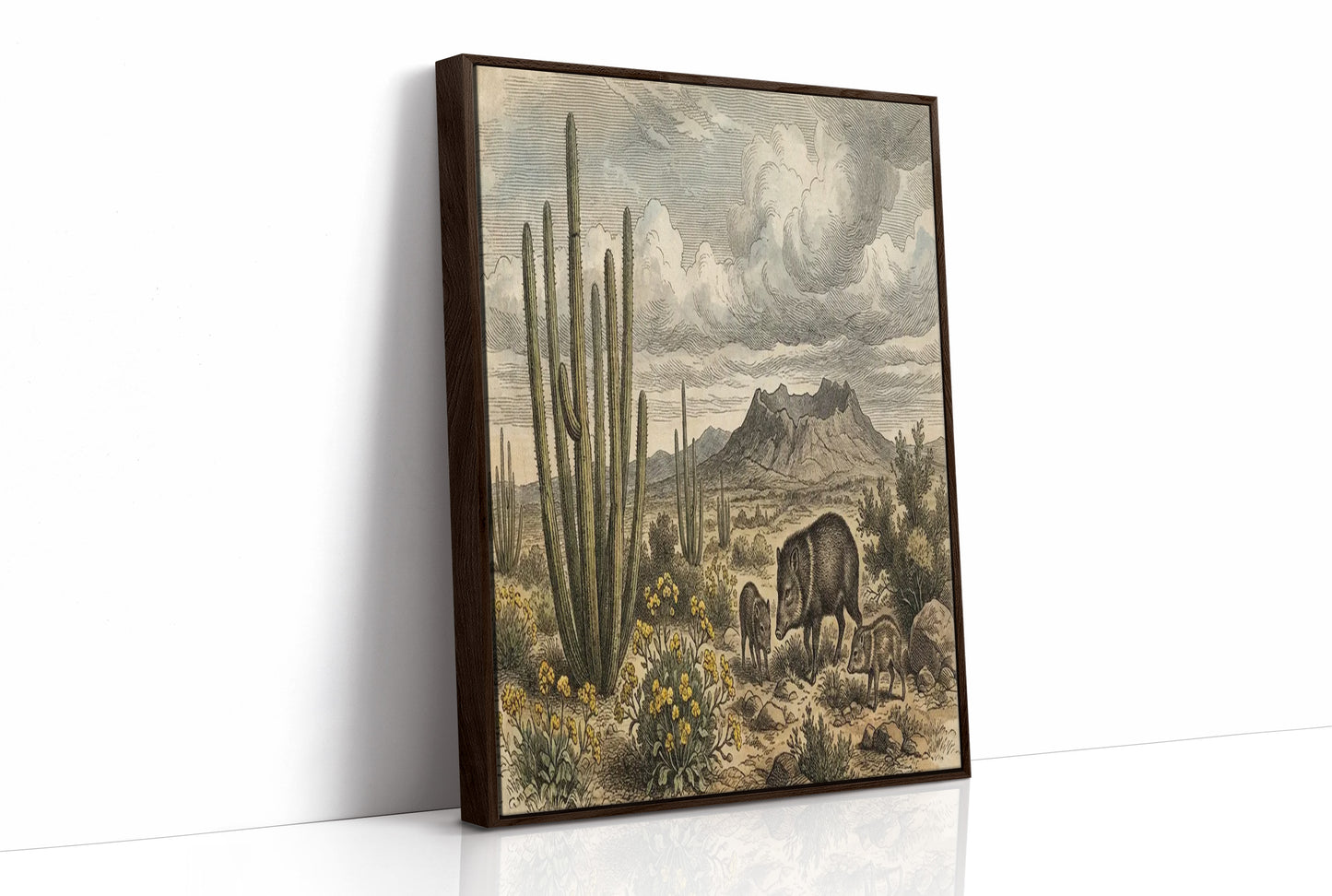 Desert Javelina Family