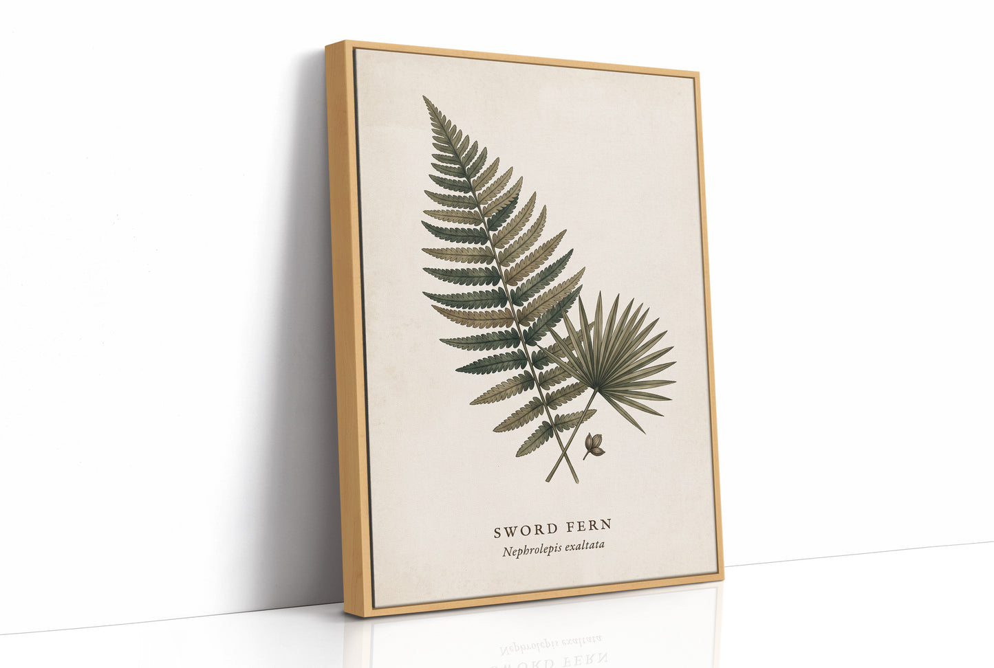 Vintage Herbarium