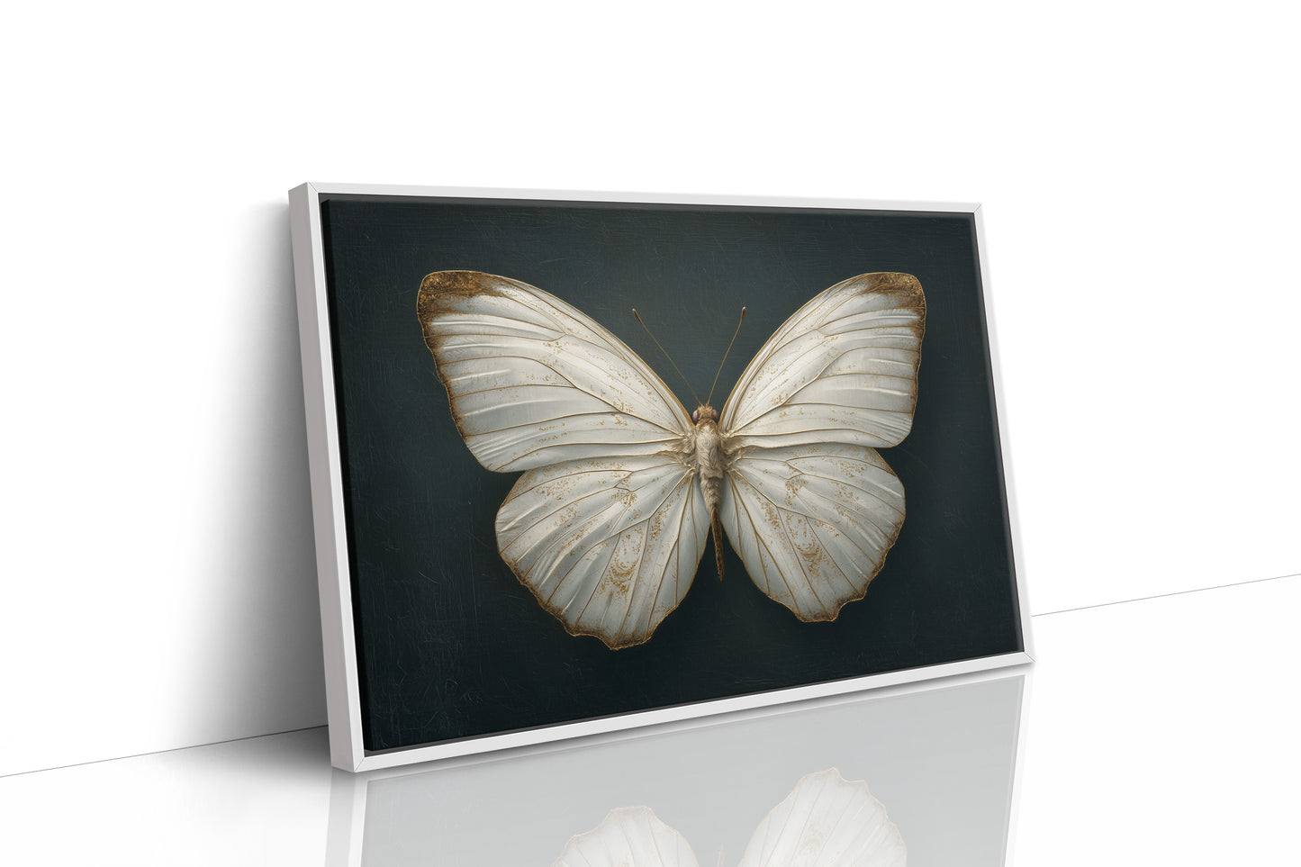 Ivory Wings Against Midnight Blue