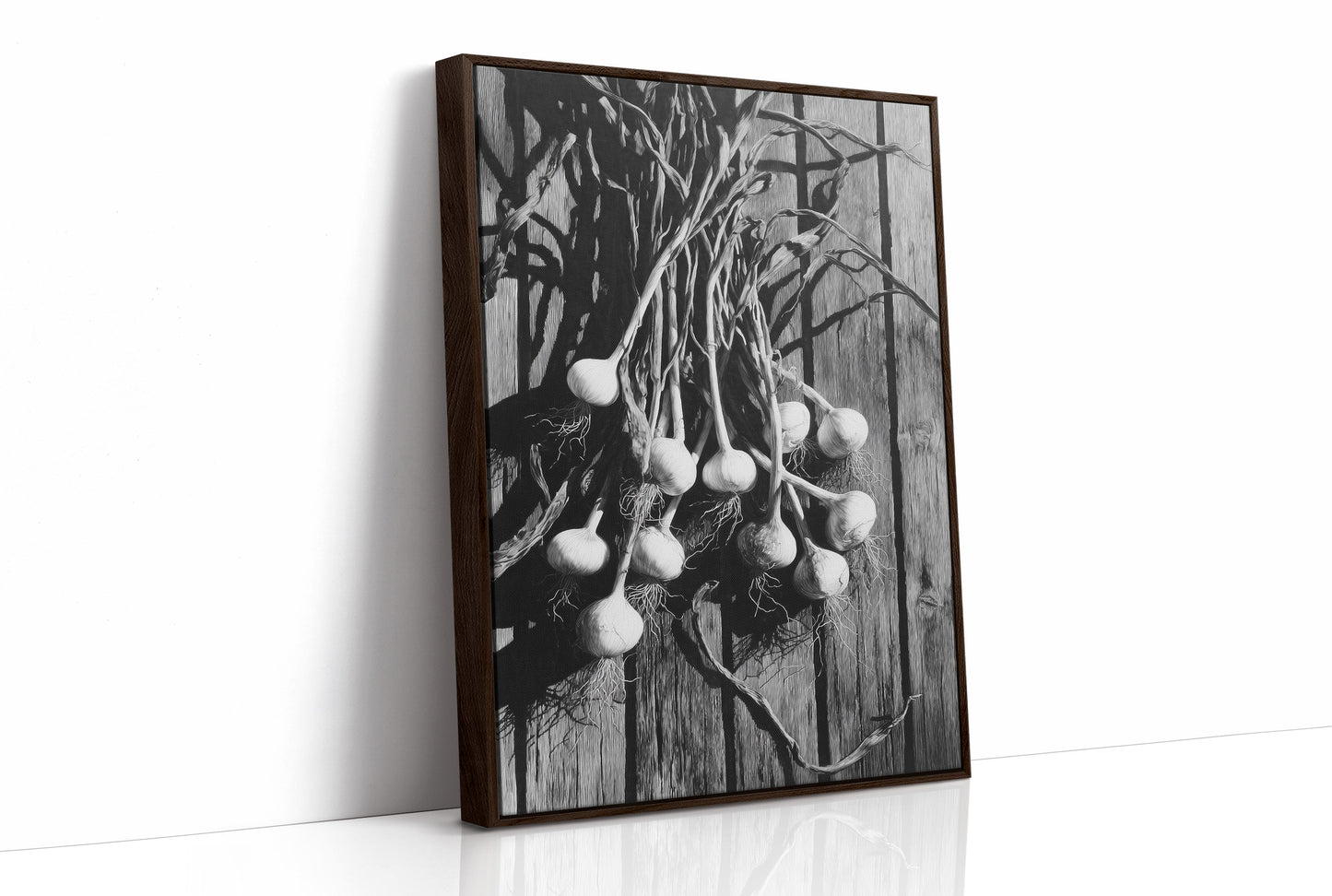 Garlic Hanging In Shadow