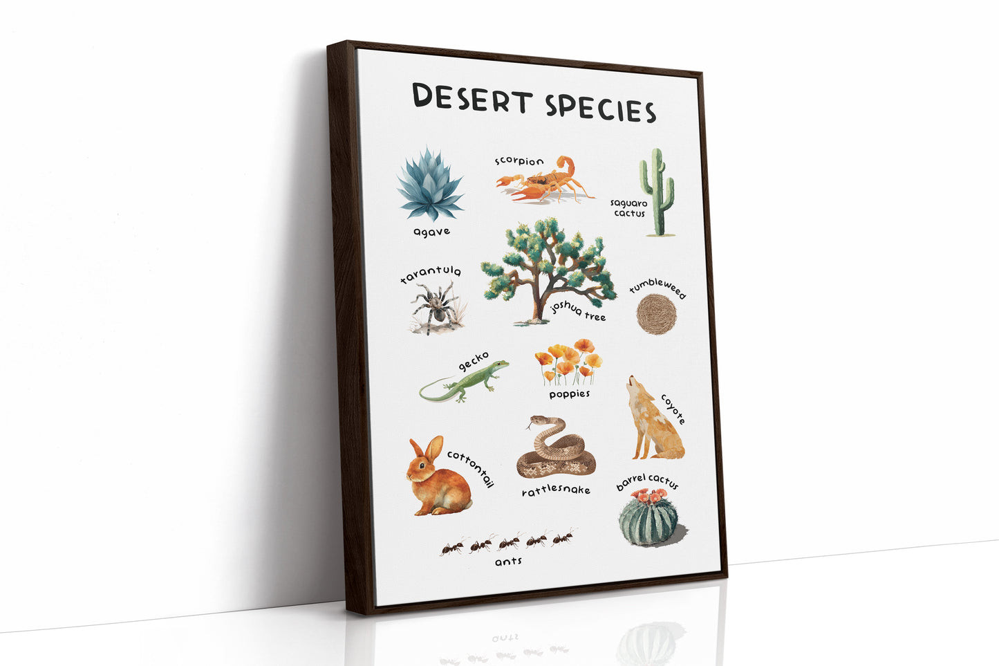 Arid Land Chronicles Illustrated