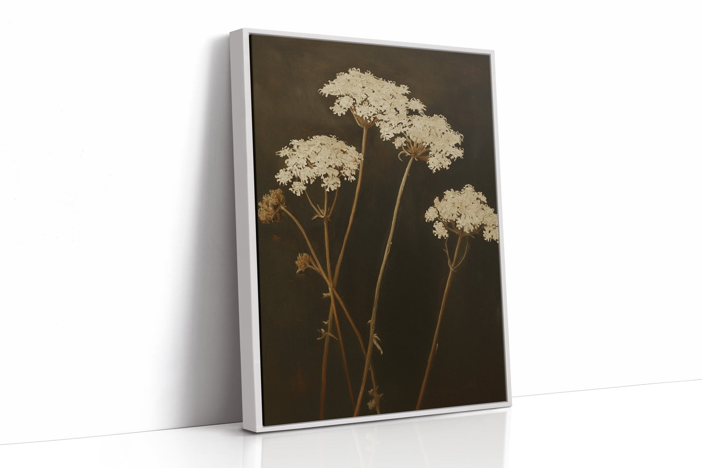 Queen Annes Lace in Late Autumn Light