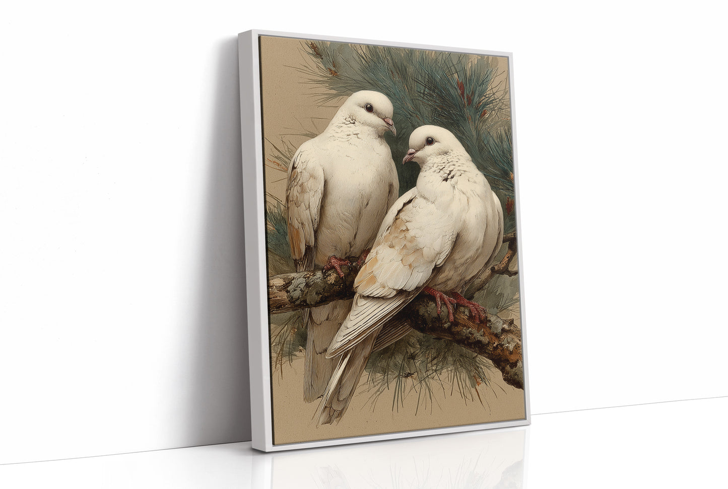 Two White Doves at Rest