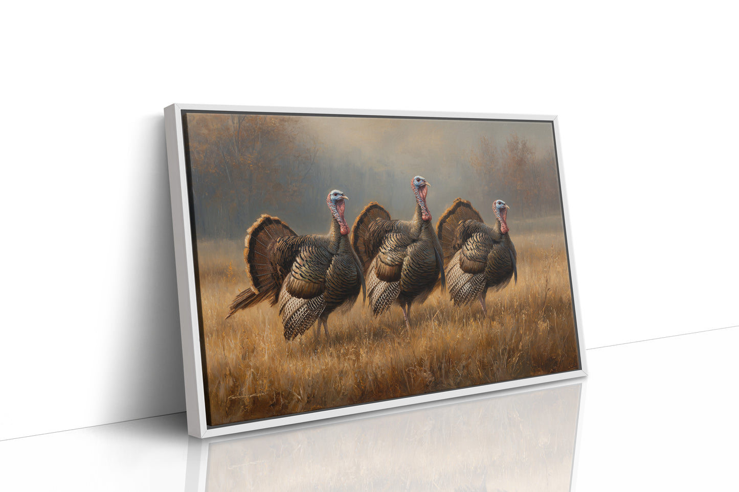 Wild Turkeys March Through Golden Fields