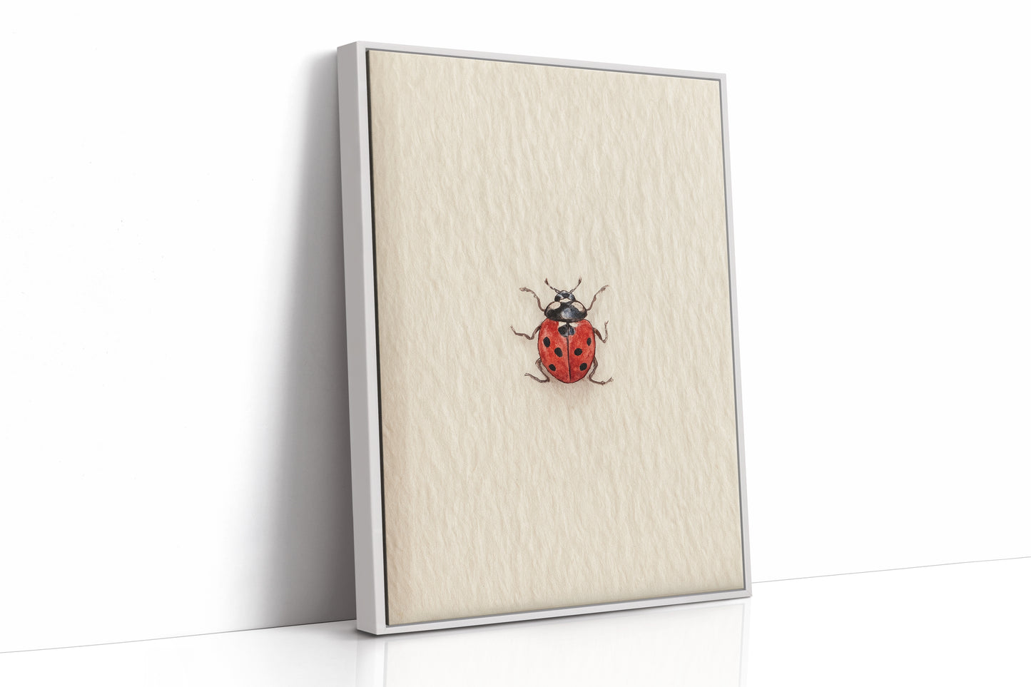 Tiny Ladybug on Paper