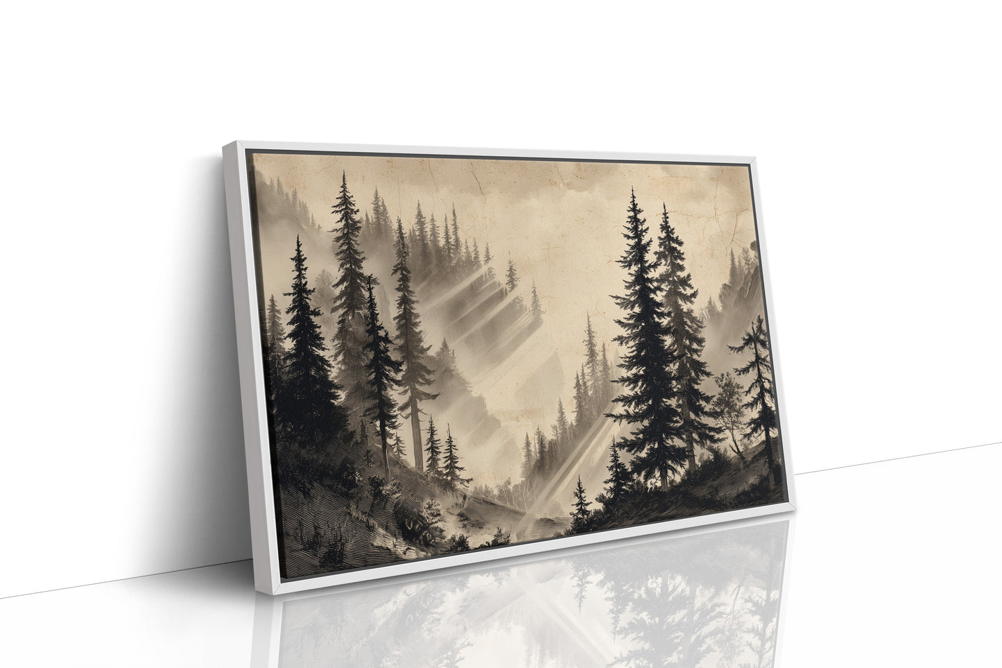 Misty Pines Catch Mountain Light