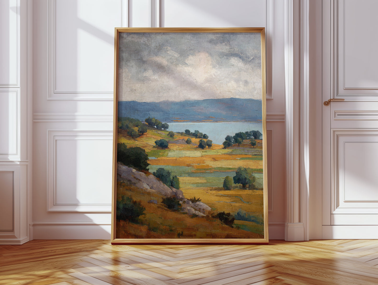 Fields Bathed in Golden Light