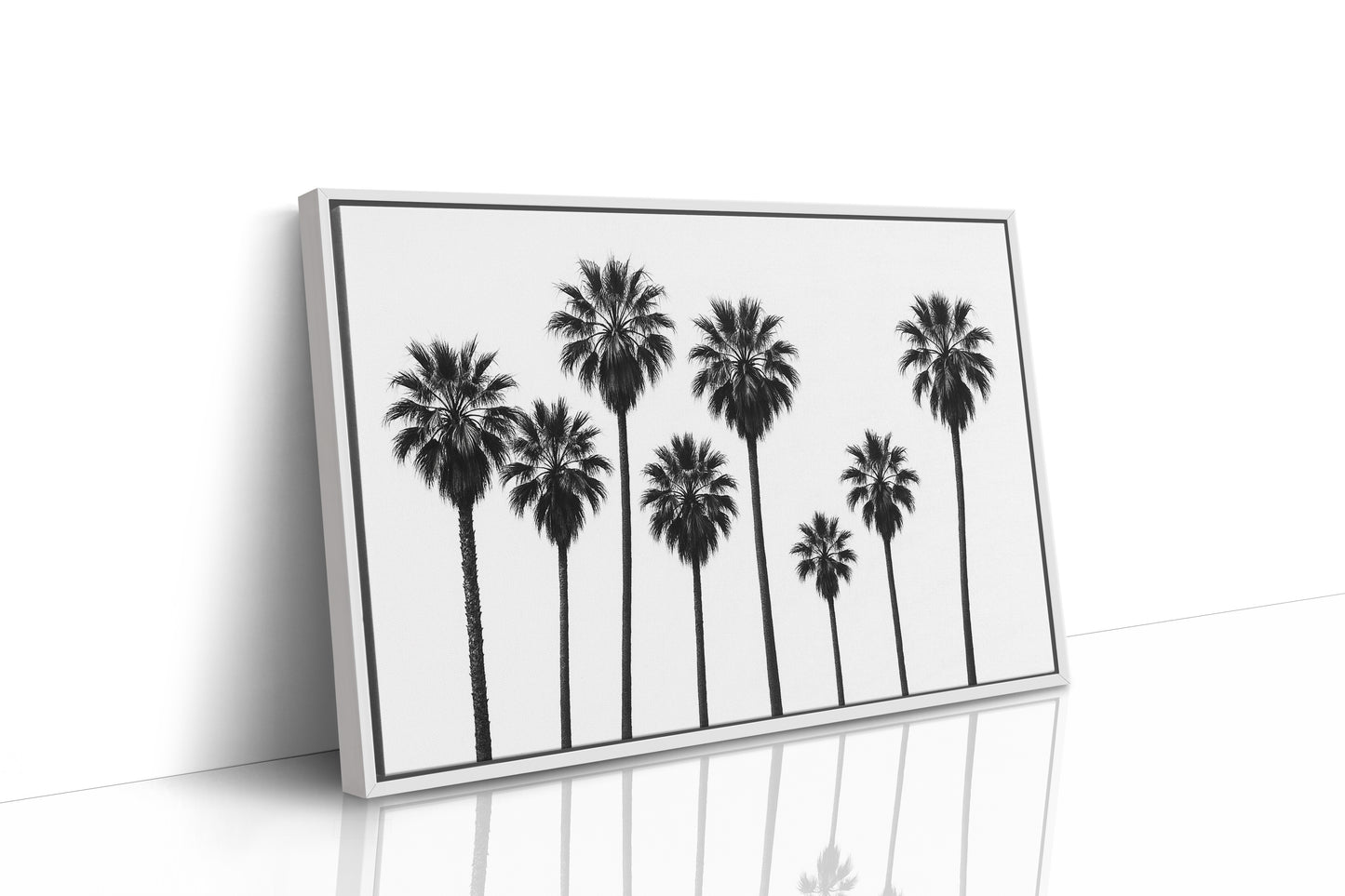 Seven Palms in Perfect Rhythm