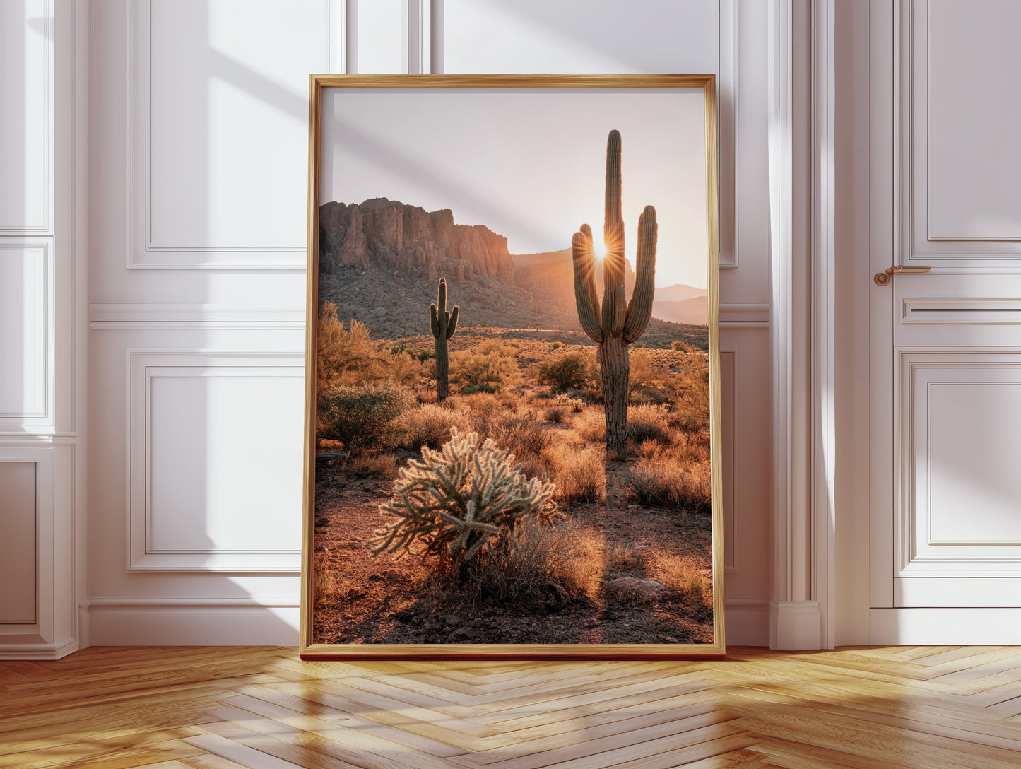 Sunlit Giants in Arid Embrace