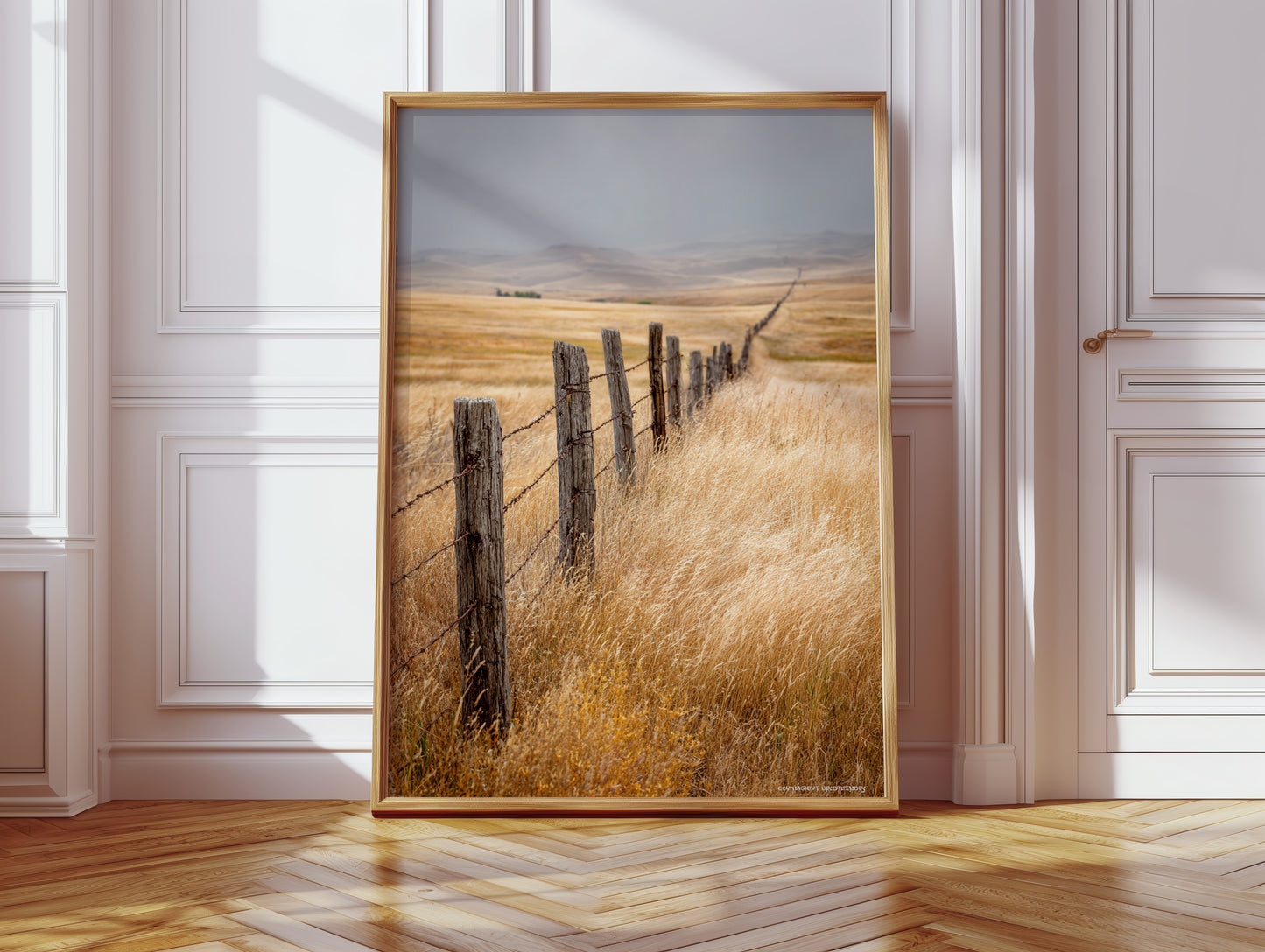 Fences That Tell Forgotten Tales