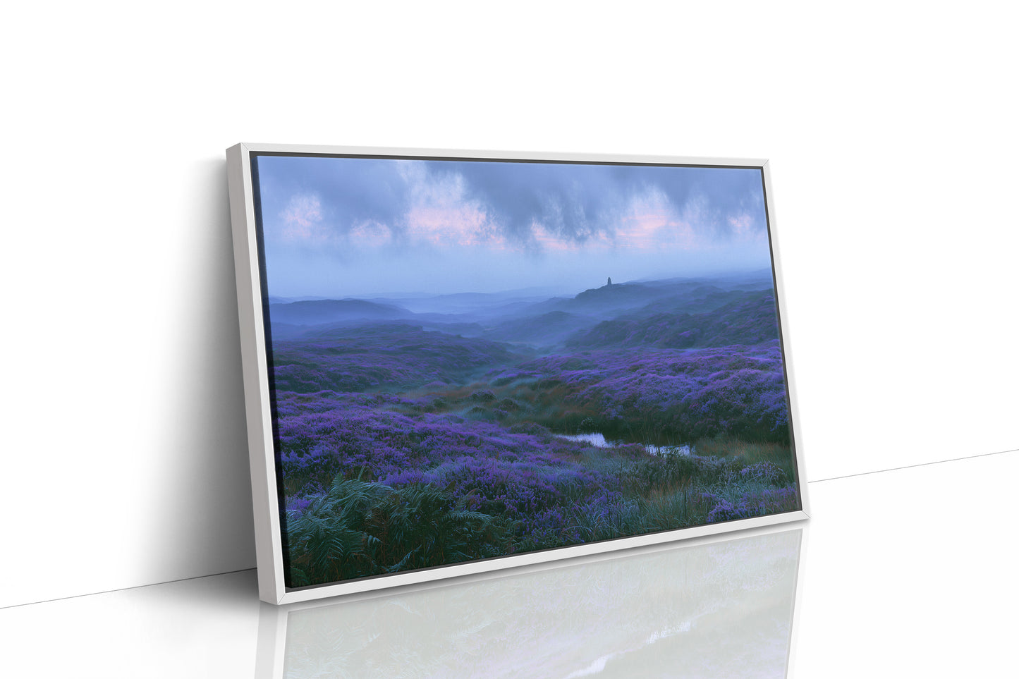 Twilight Falls Over the Heather