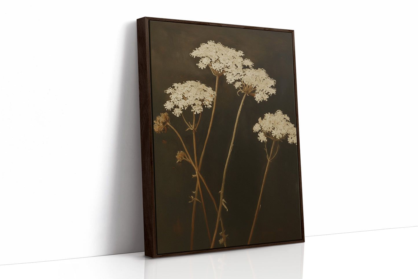 Queen Annes Lace in Late Autumn Light