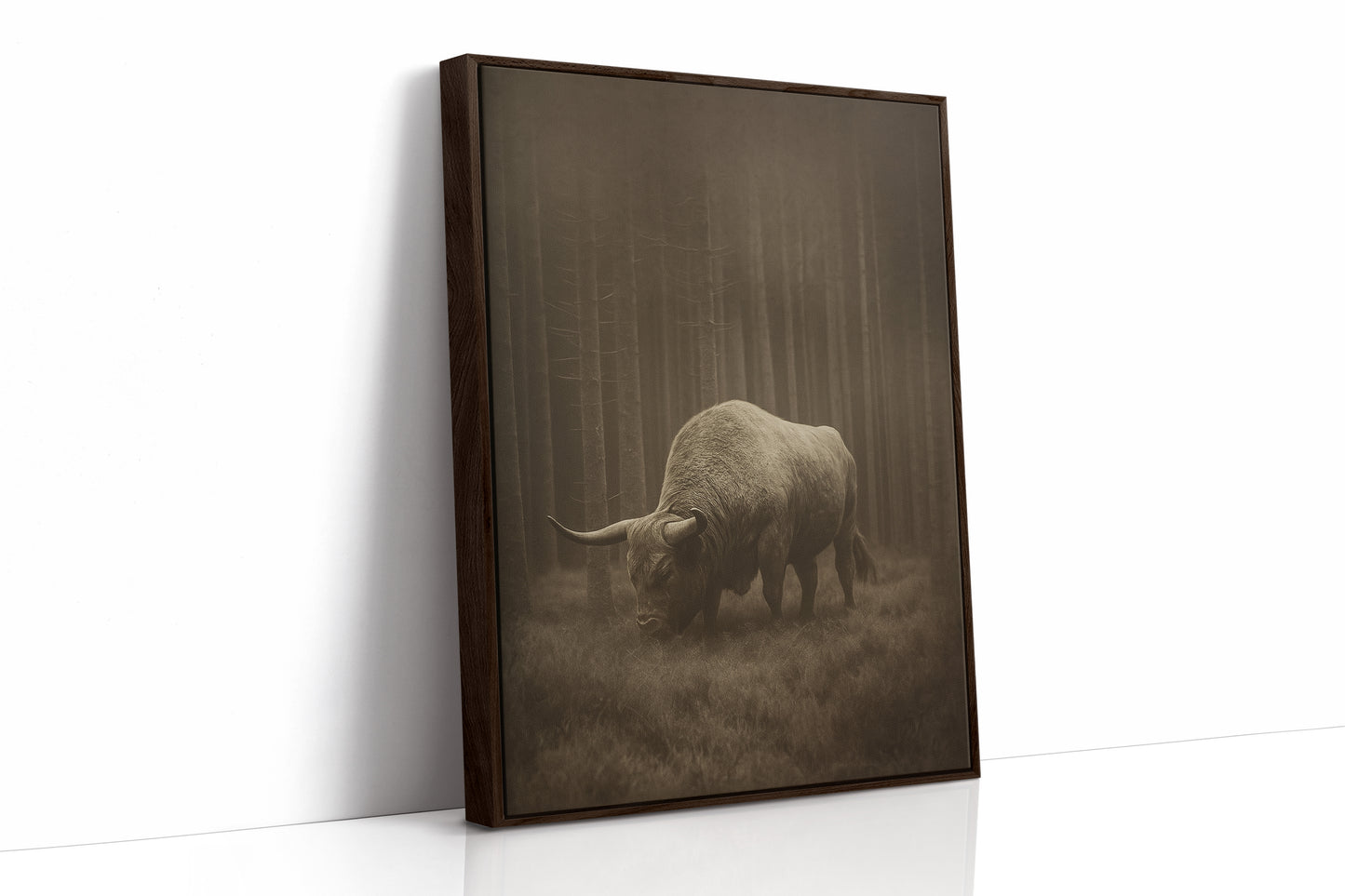 Highland Silence in the Pines