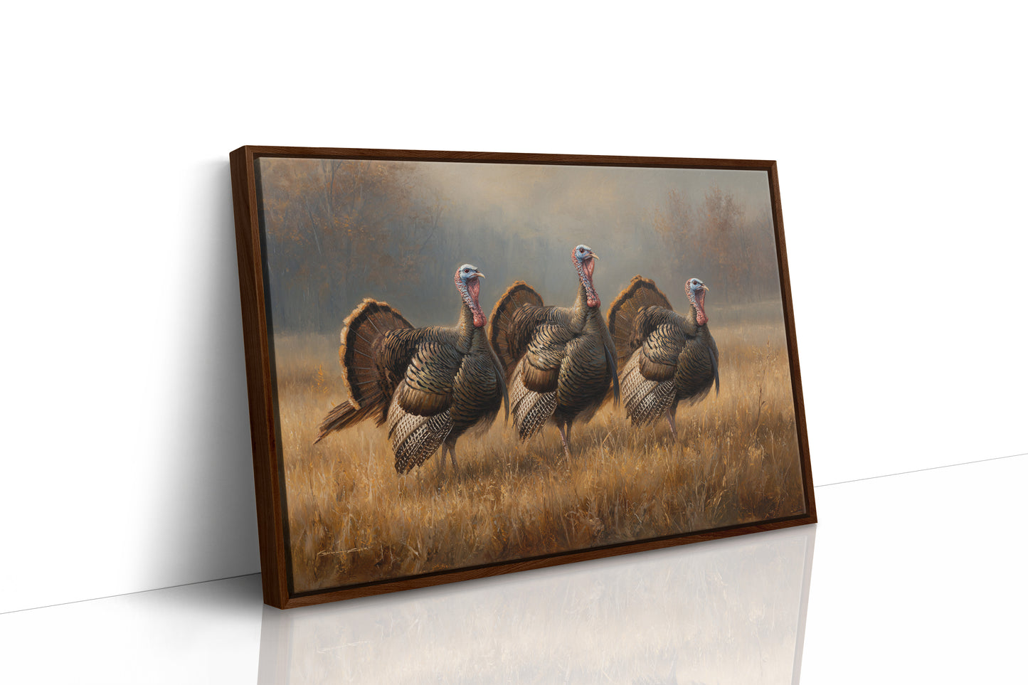 Wild Turkeys March Through Golden Fields