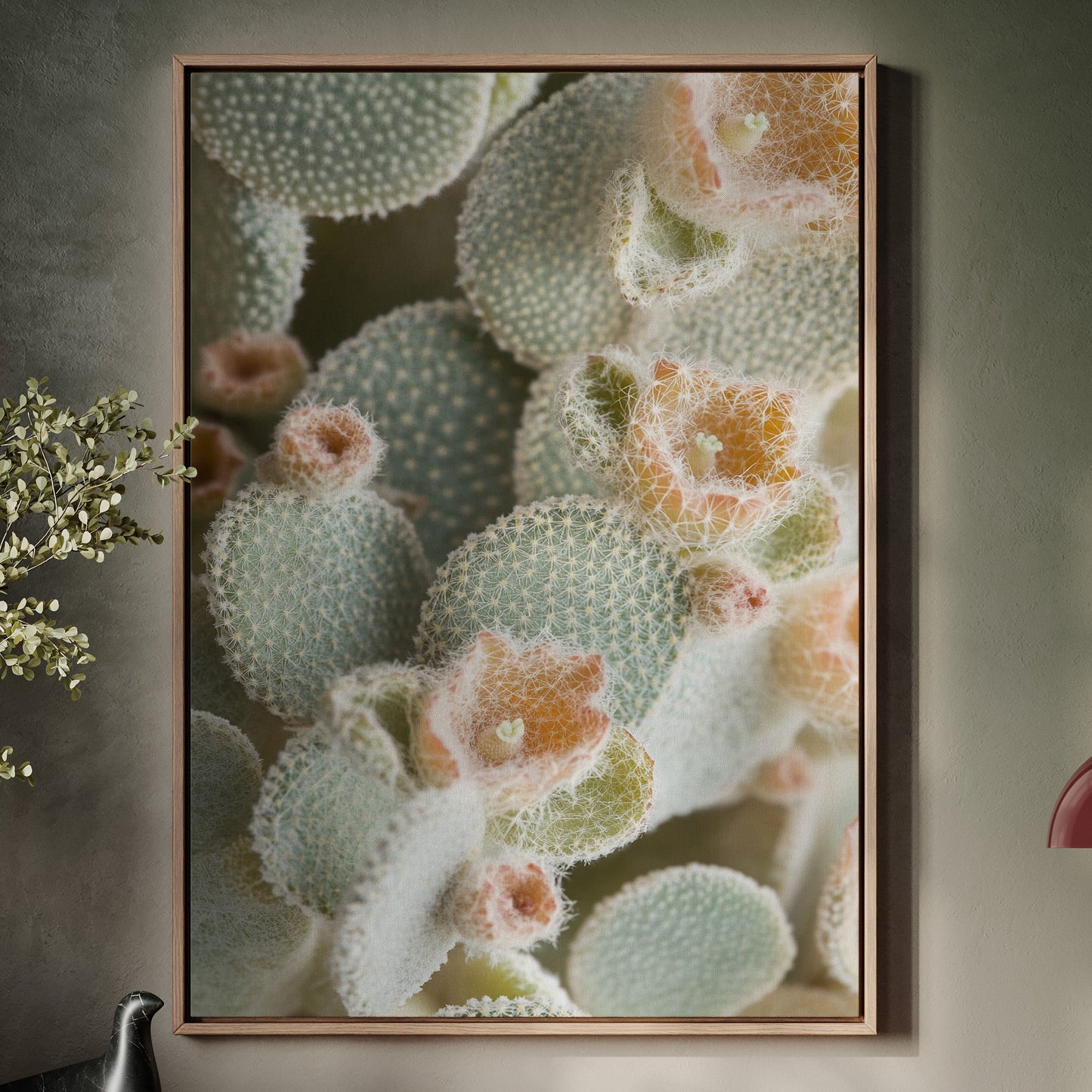 Soft Bloom on Fuzzy Desert Cactus