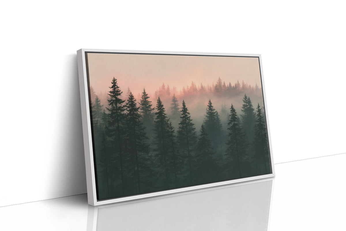 Pines Fading Into Fog