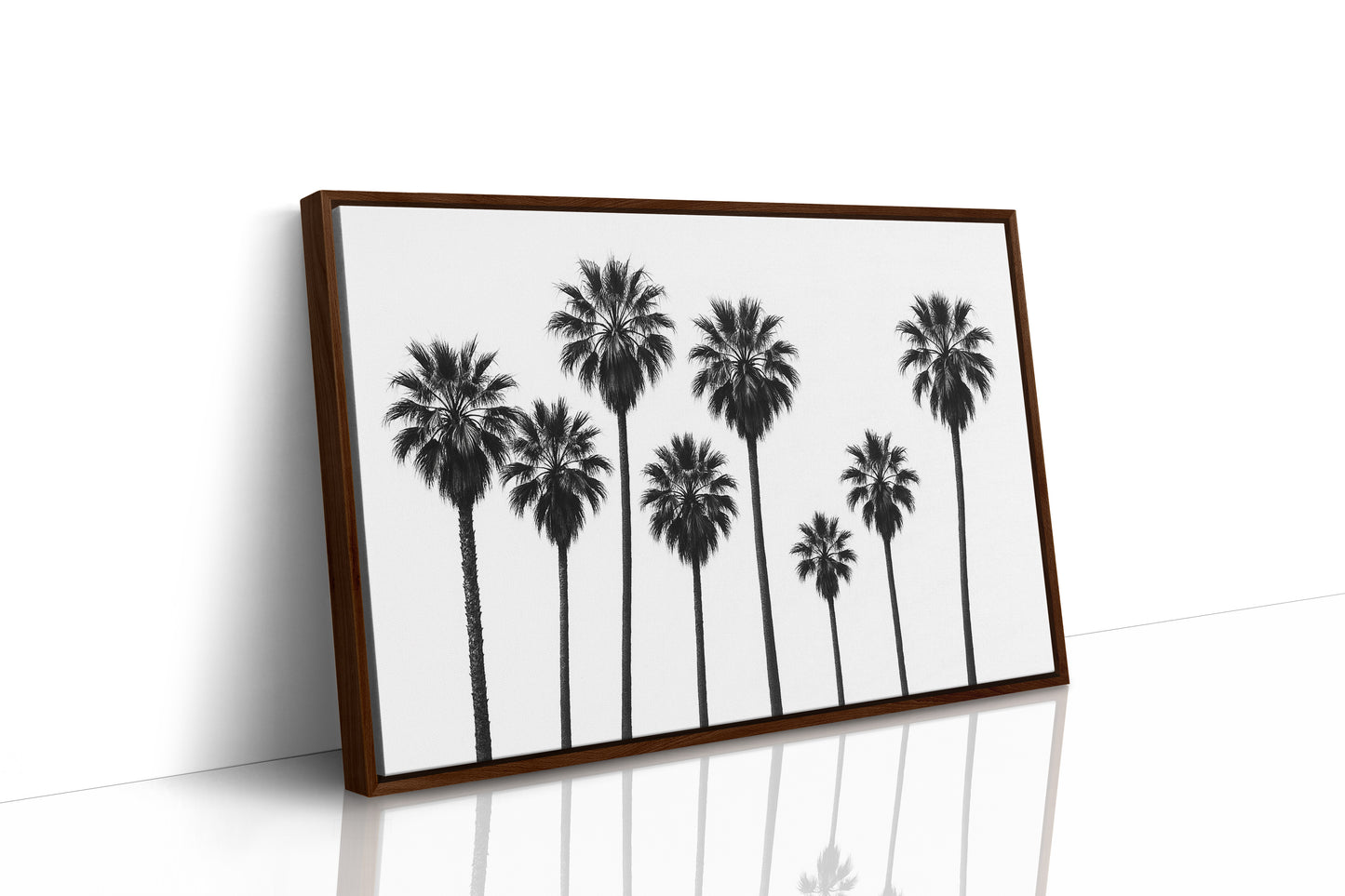 Seven Palms in Perfect Rhythm