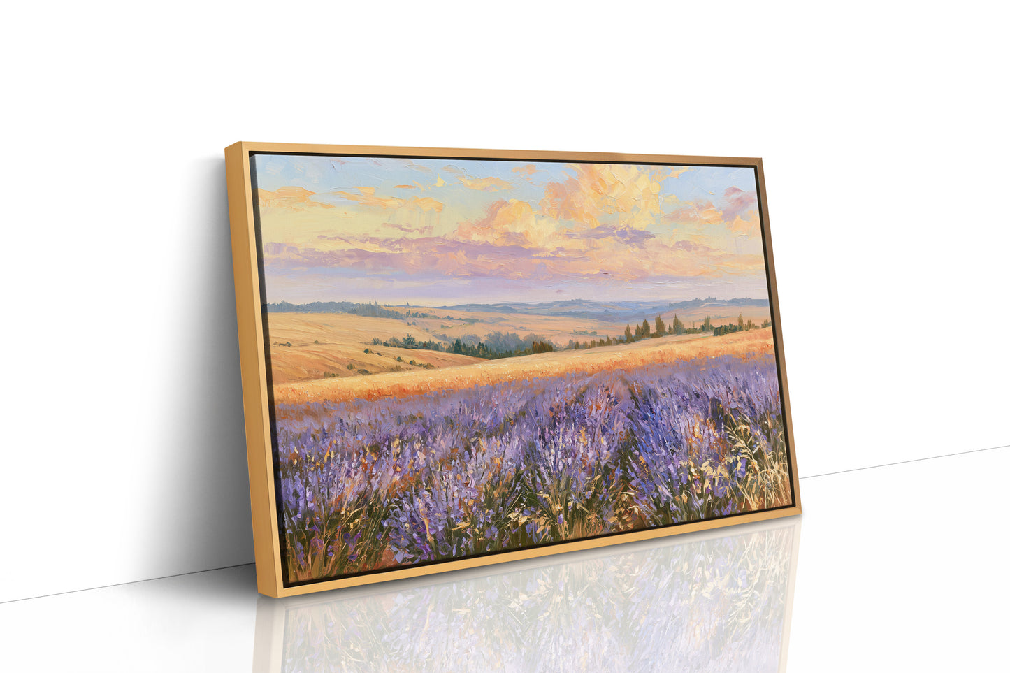 Lavender Fields, Golden Hour