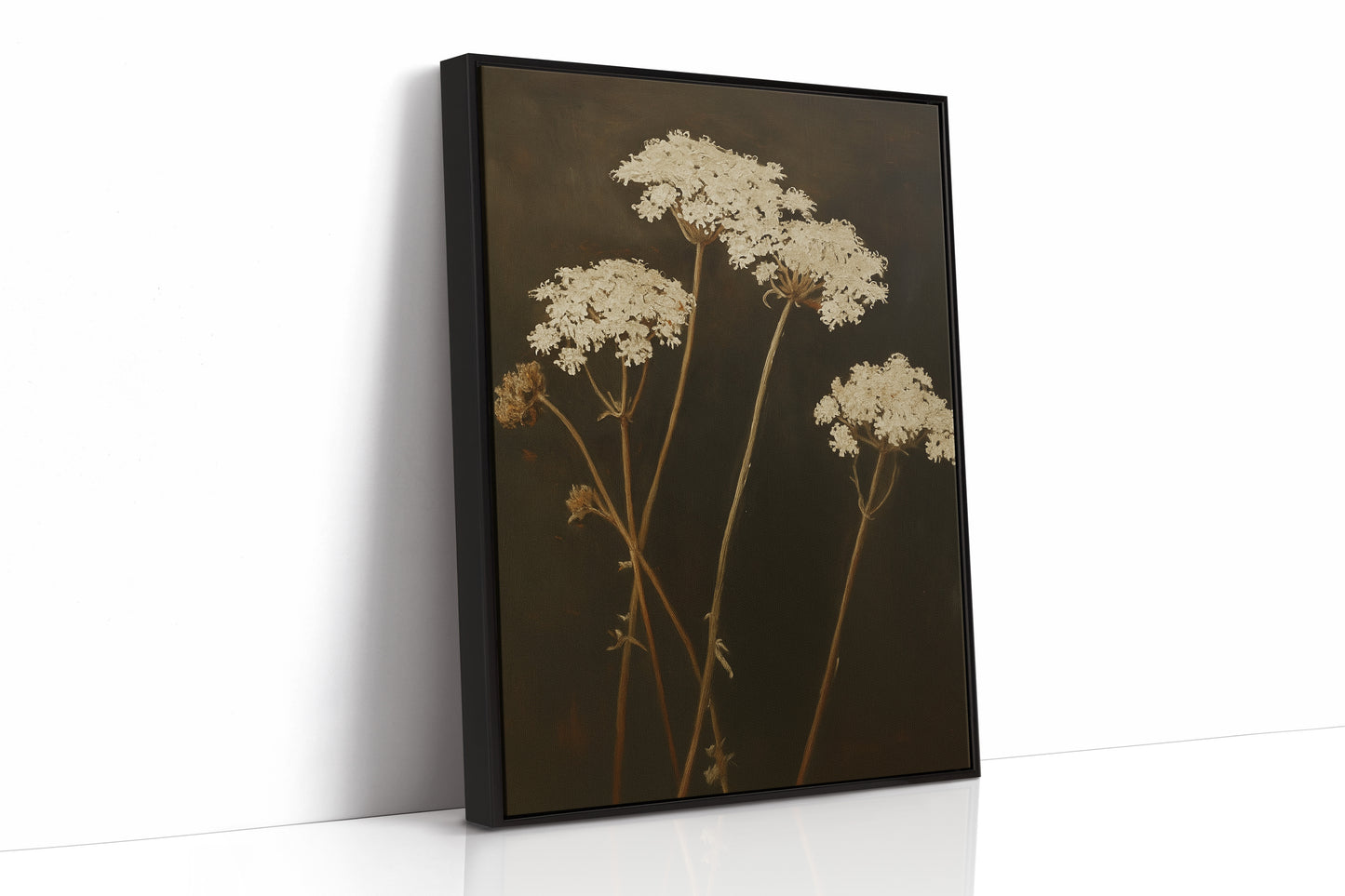 Queen Annes Lace in Late Autumn Light