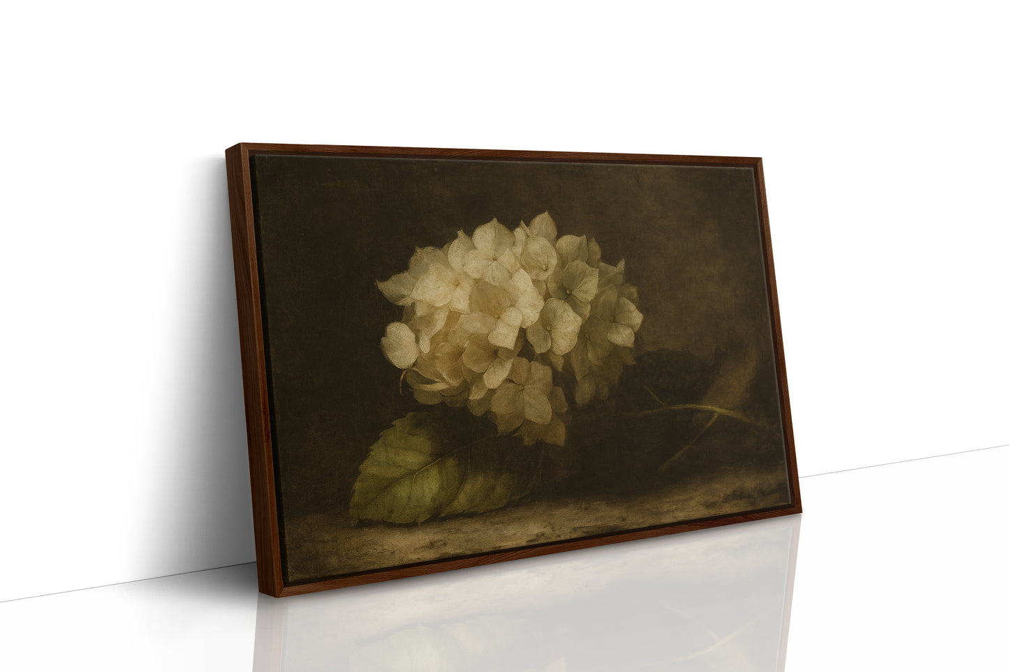 Faded Elegance Hydrangea