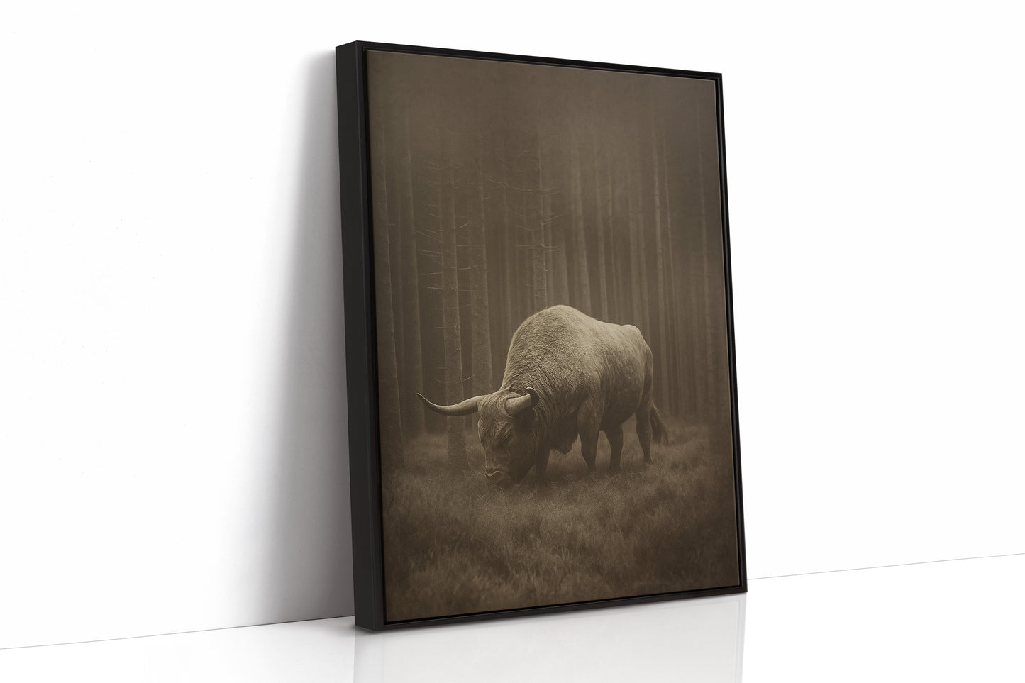 Highland Silence in the Pines