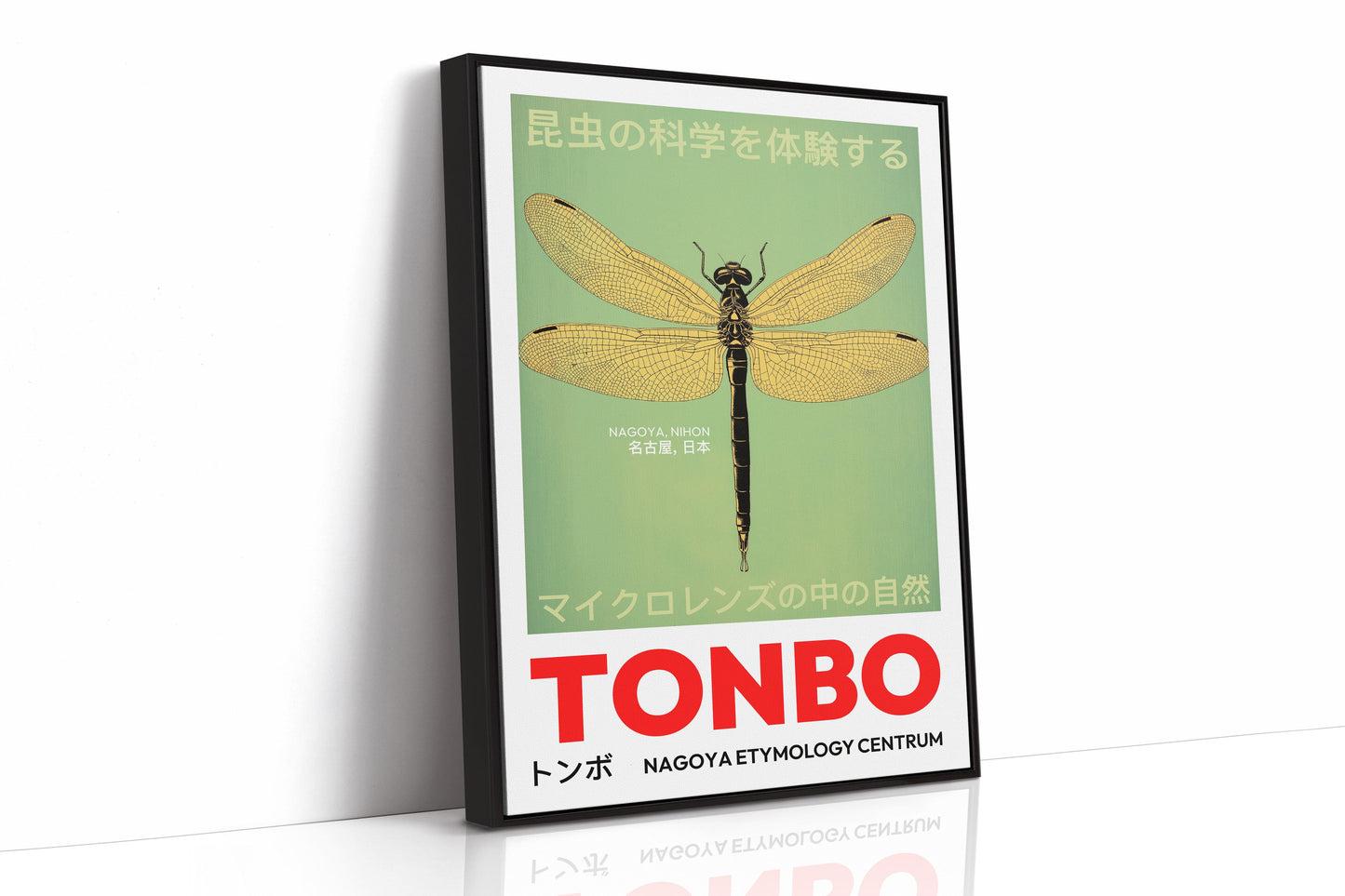 Tonbo – The Science of Dragonflies