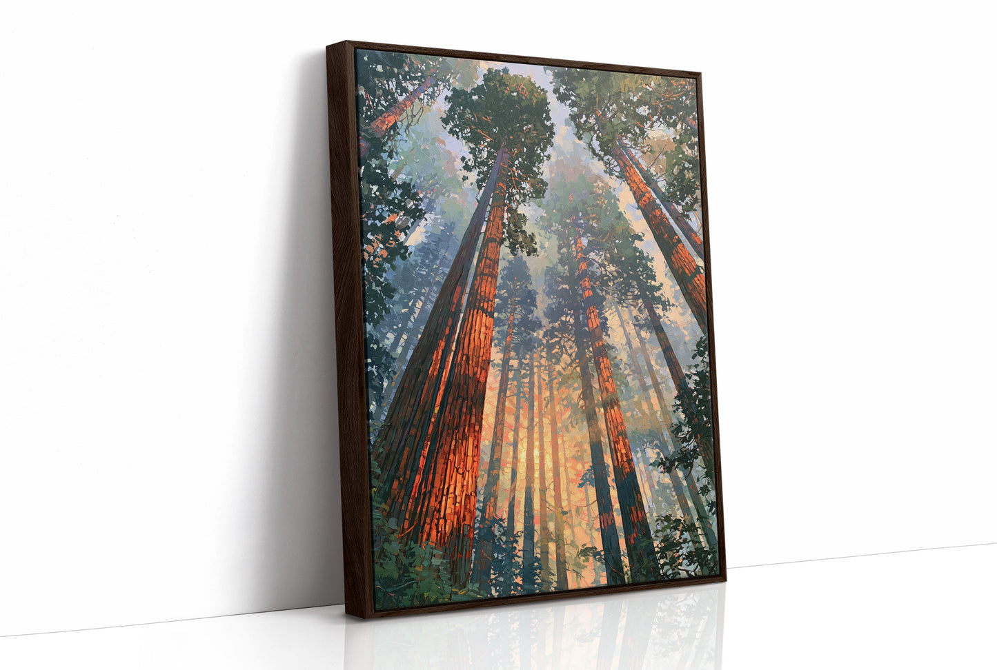 Canopy Ablaze With Light
